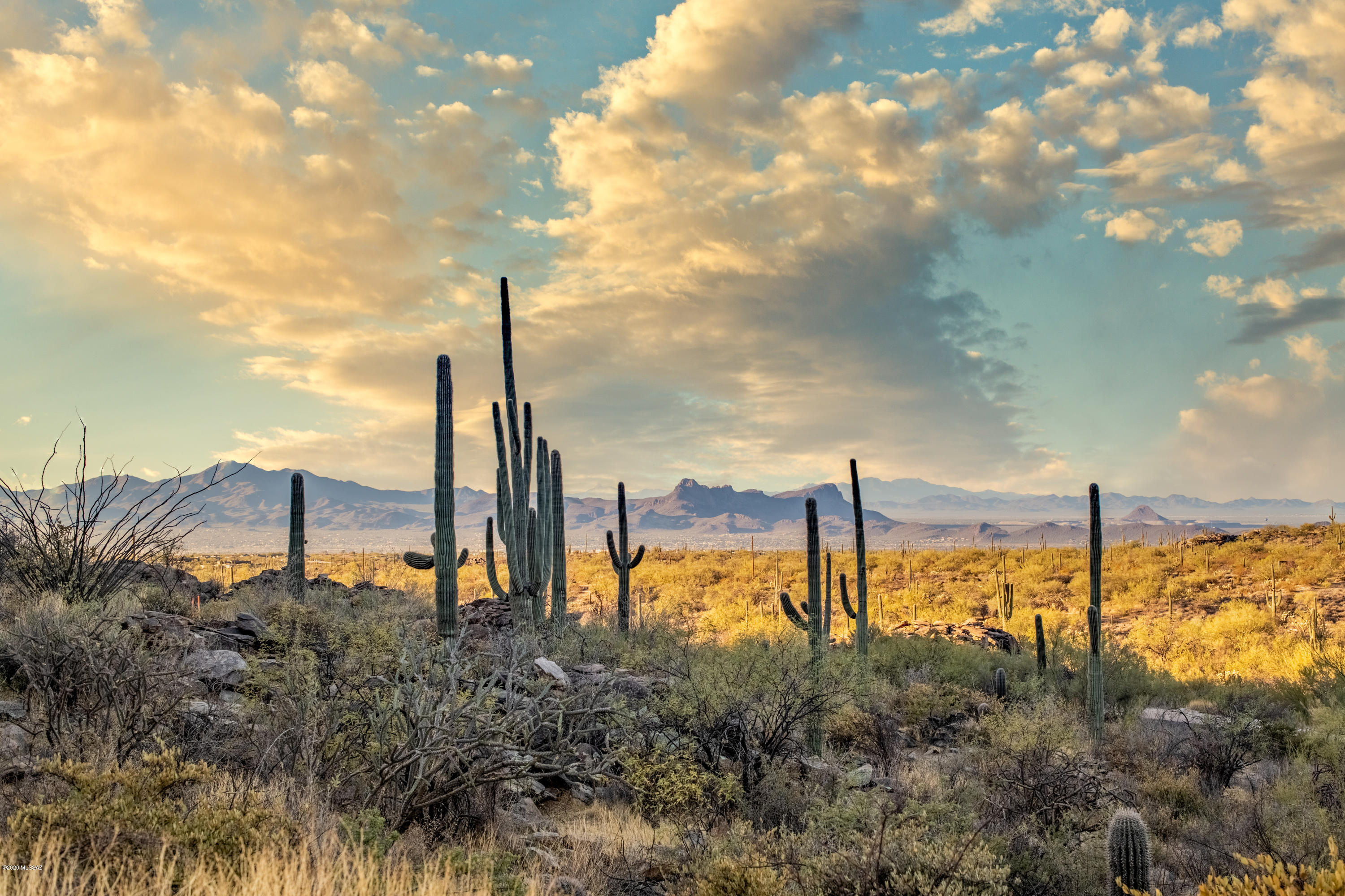 Canyon Pass At Dove Mountain - Residential