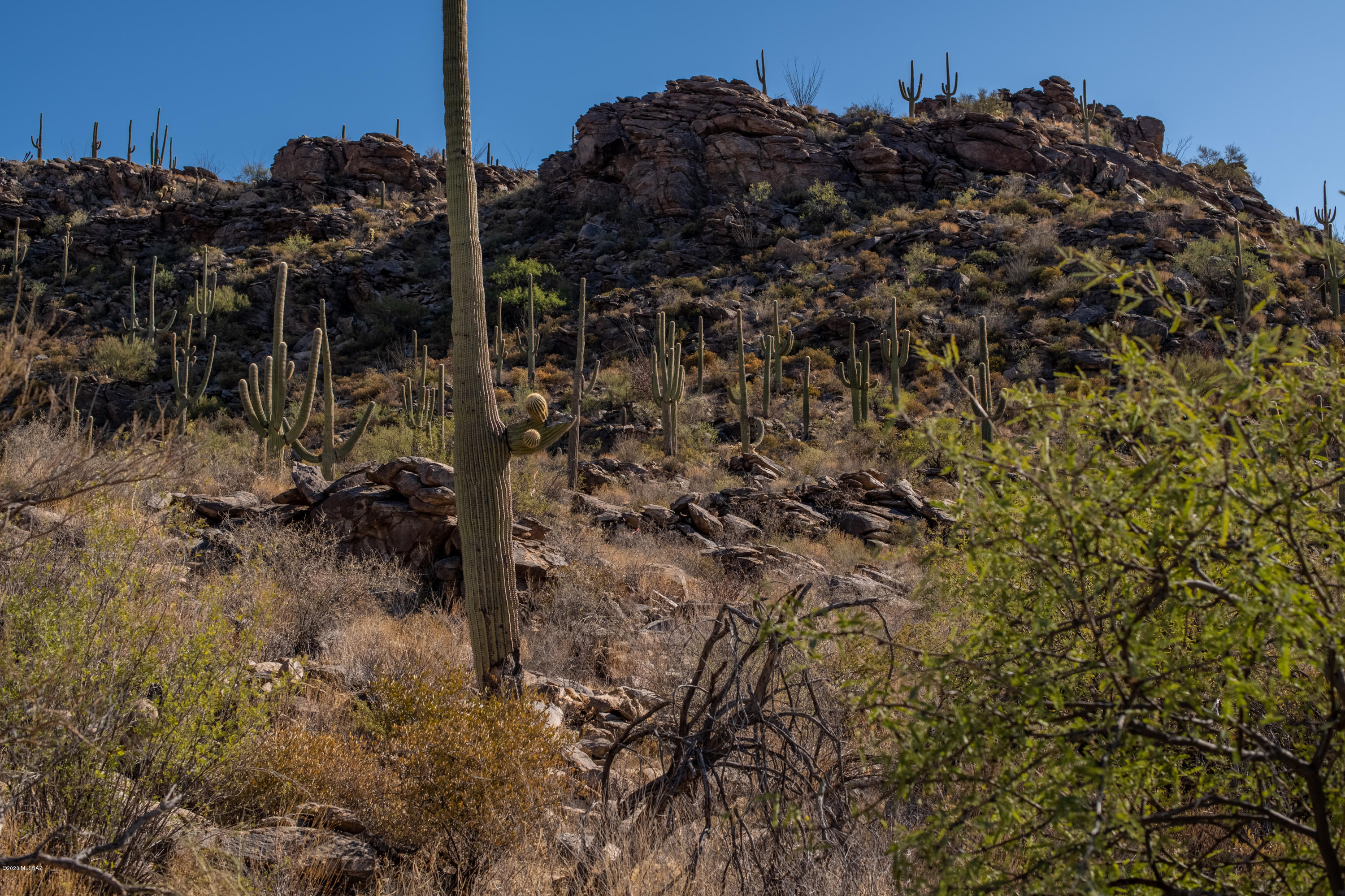 Canyon Pass At Dove Mountain - Residential
