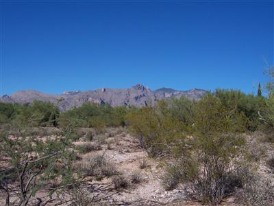 Catalina Foothills Estates - Land