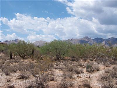 Catalina Foothills Estates - Land