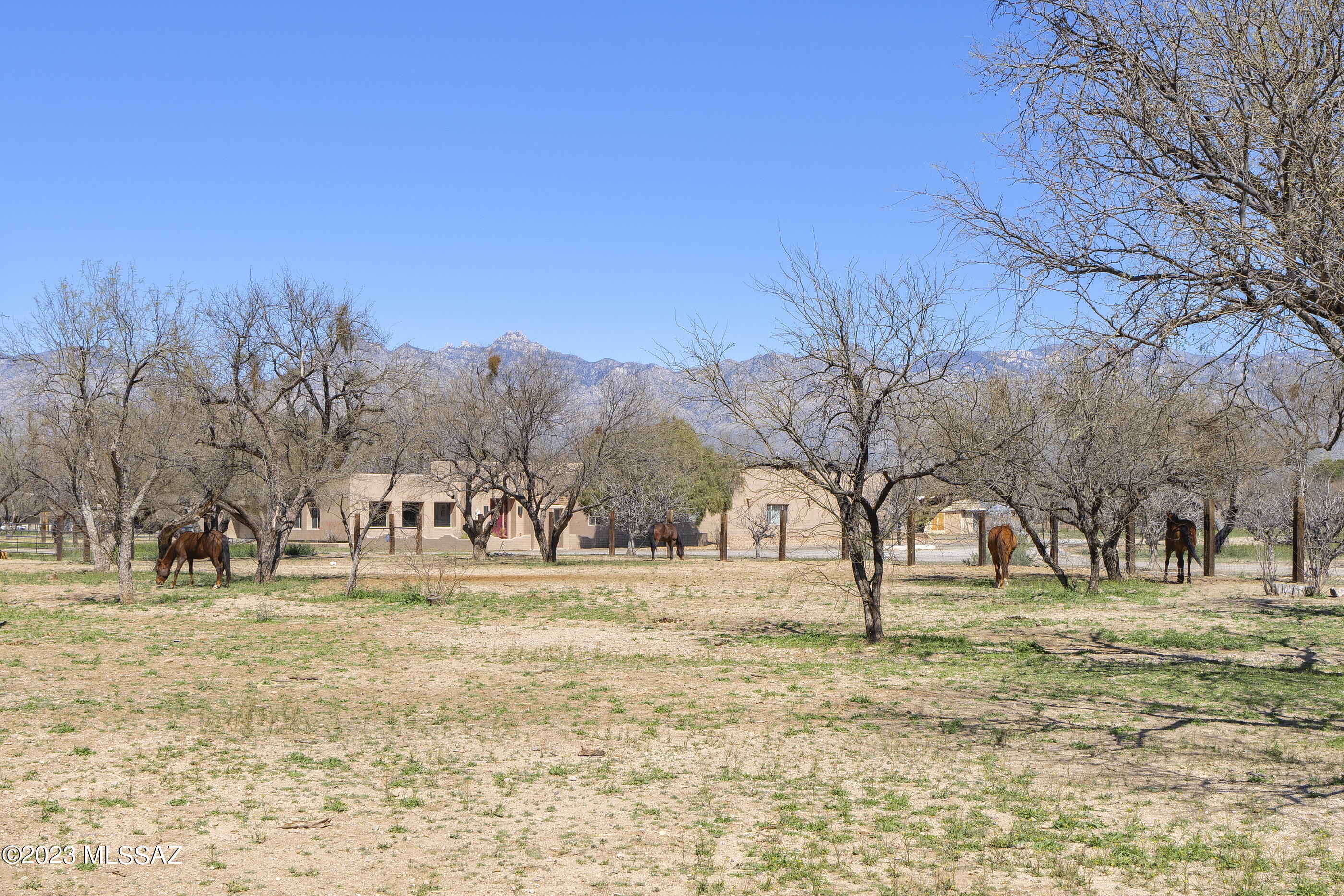 Tanque Verde Country Estates - Residential