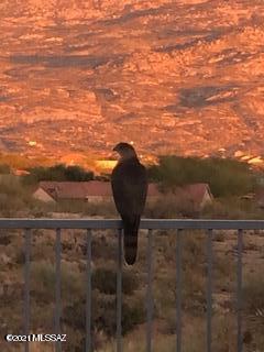 Eagle Crest Ranch - Residential