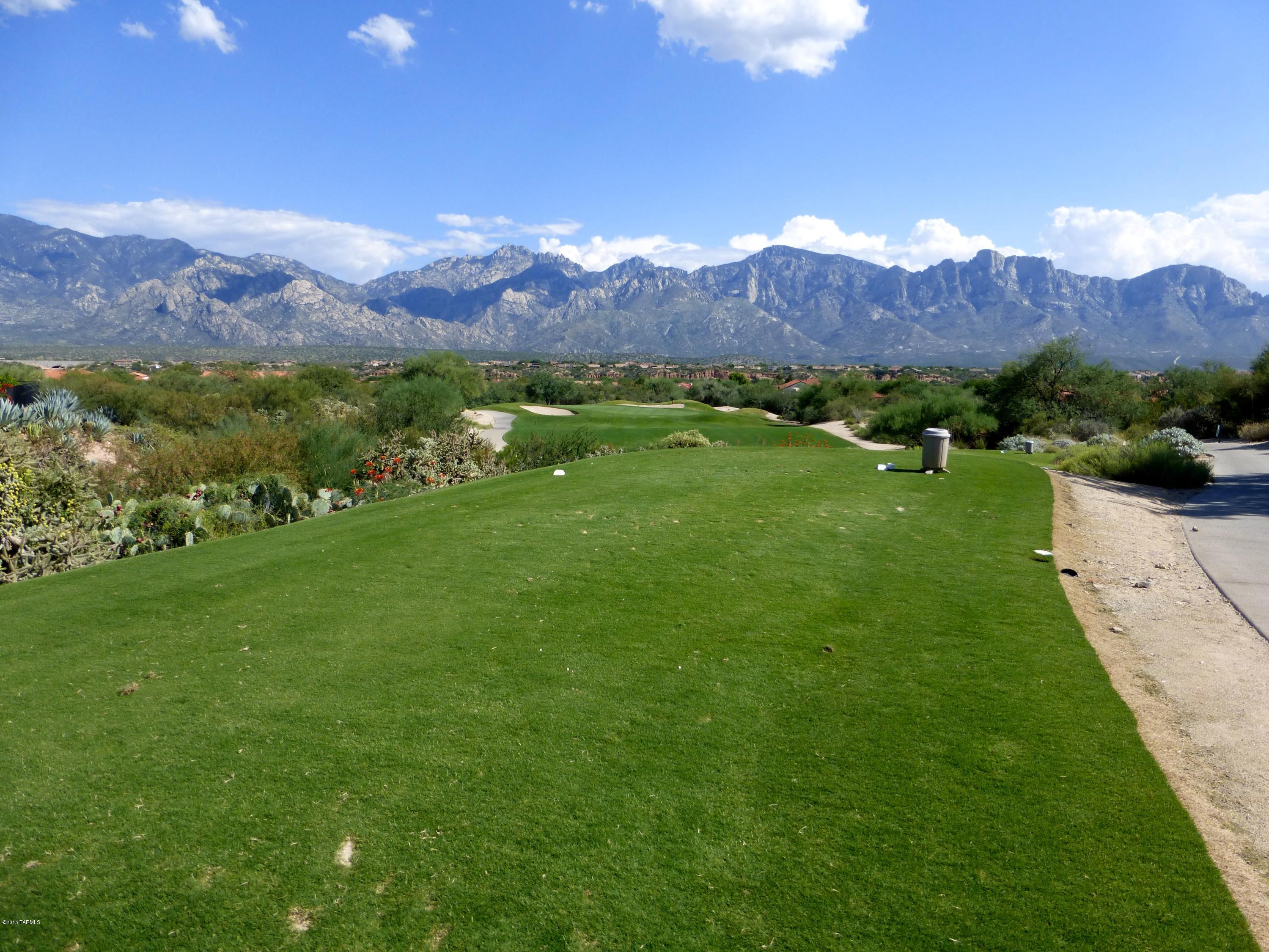 Sun City Vistoso Unit 12(1-277) - Residential
