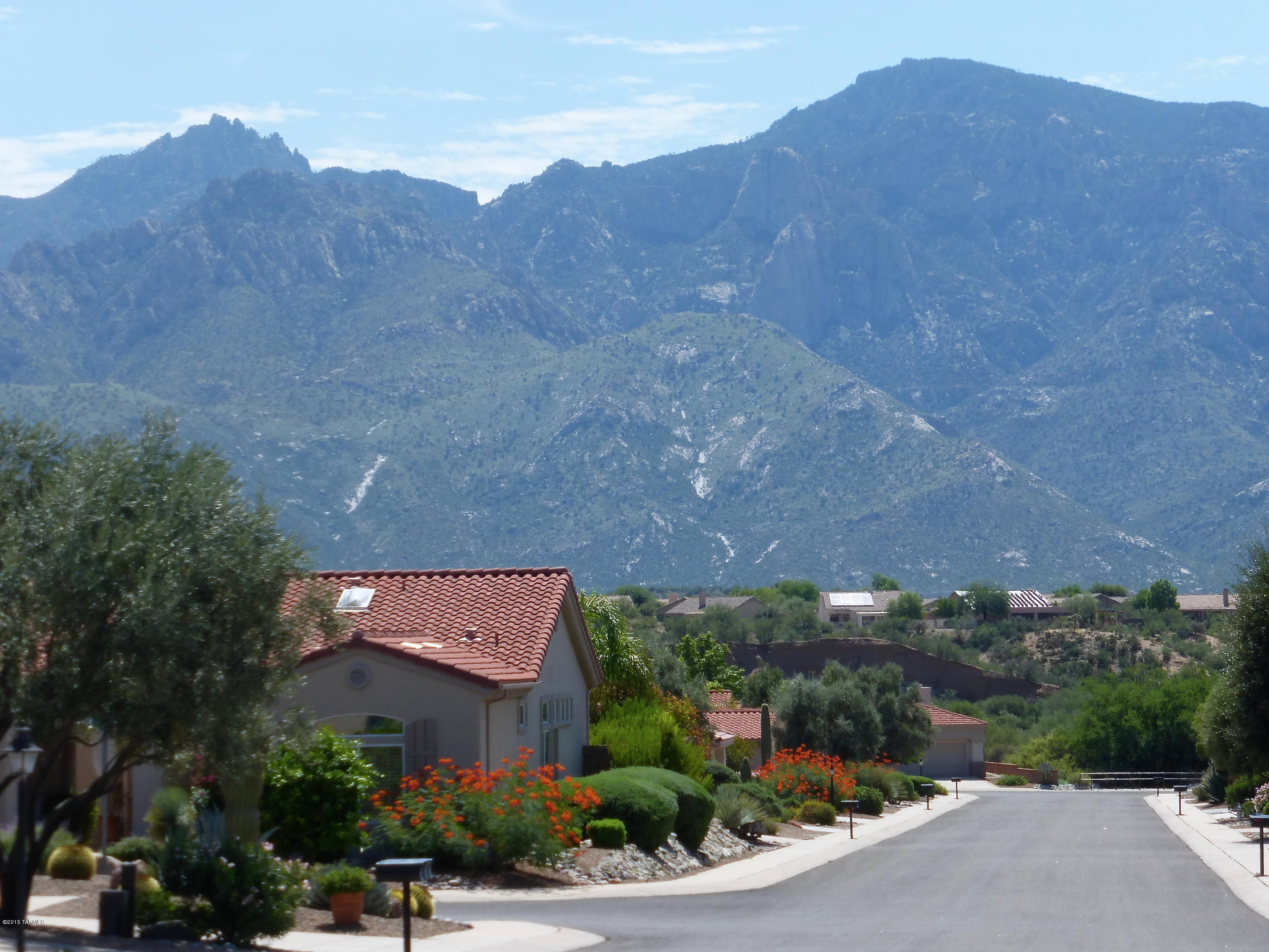 Sun City Vistoso Unit 12(1-277) - Residential