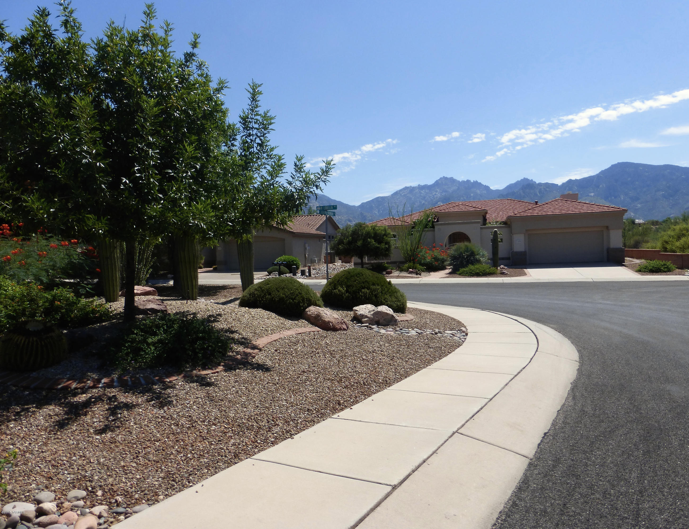 Sun City Vistoso Unit 12(1-277) - Residential