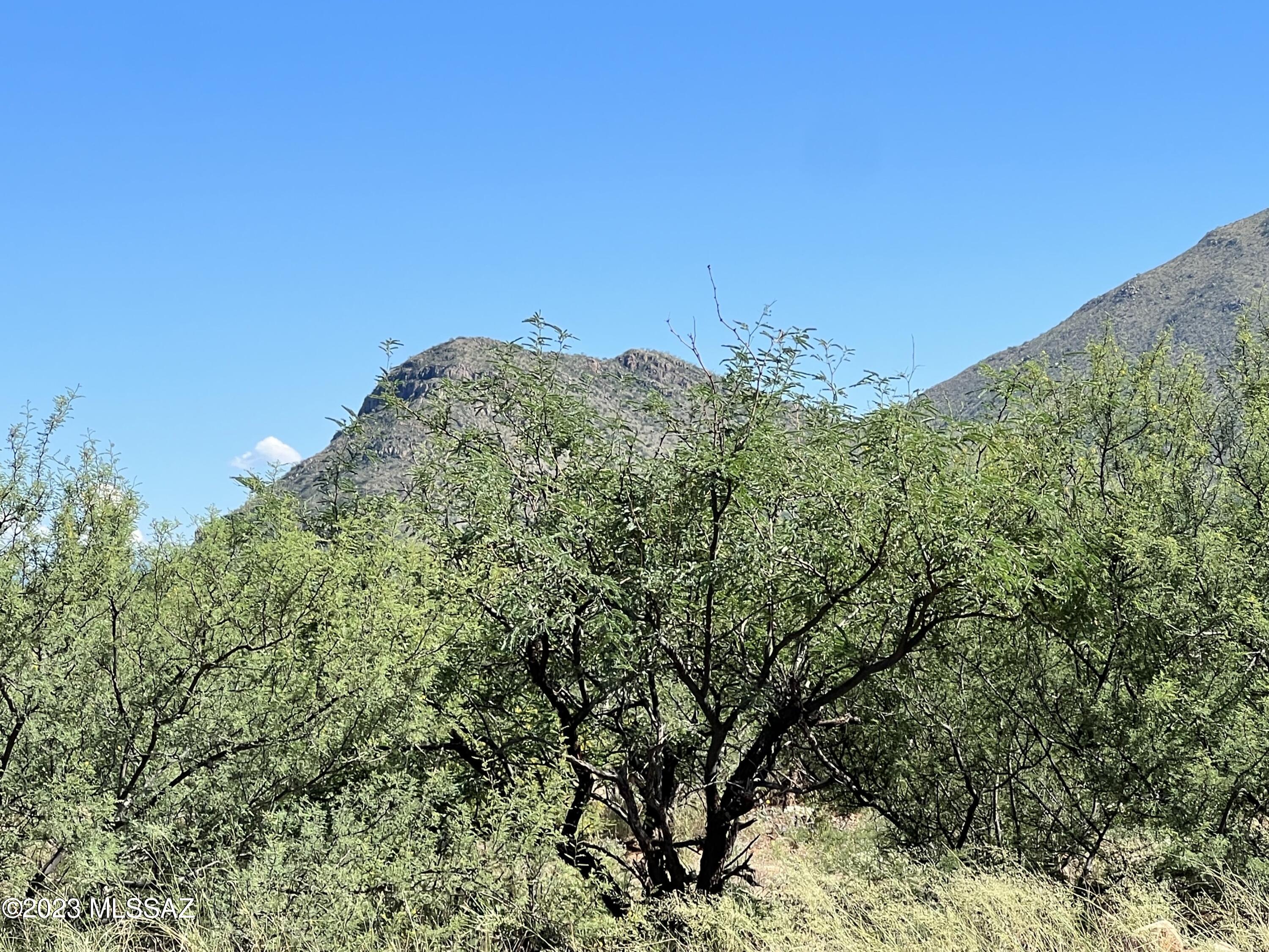 Tubac Foothills Ranch - Land