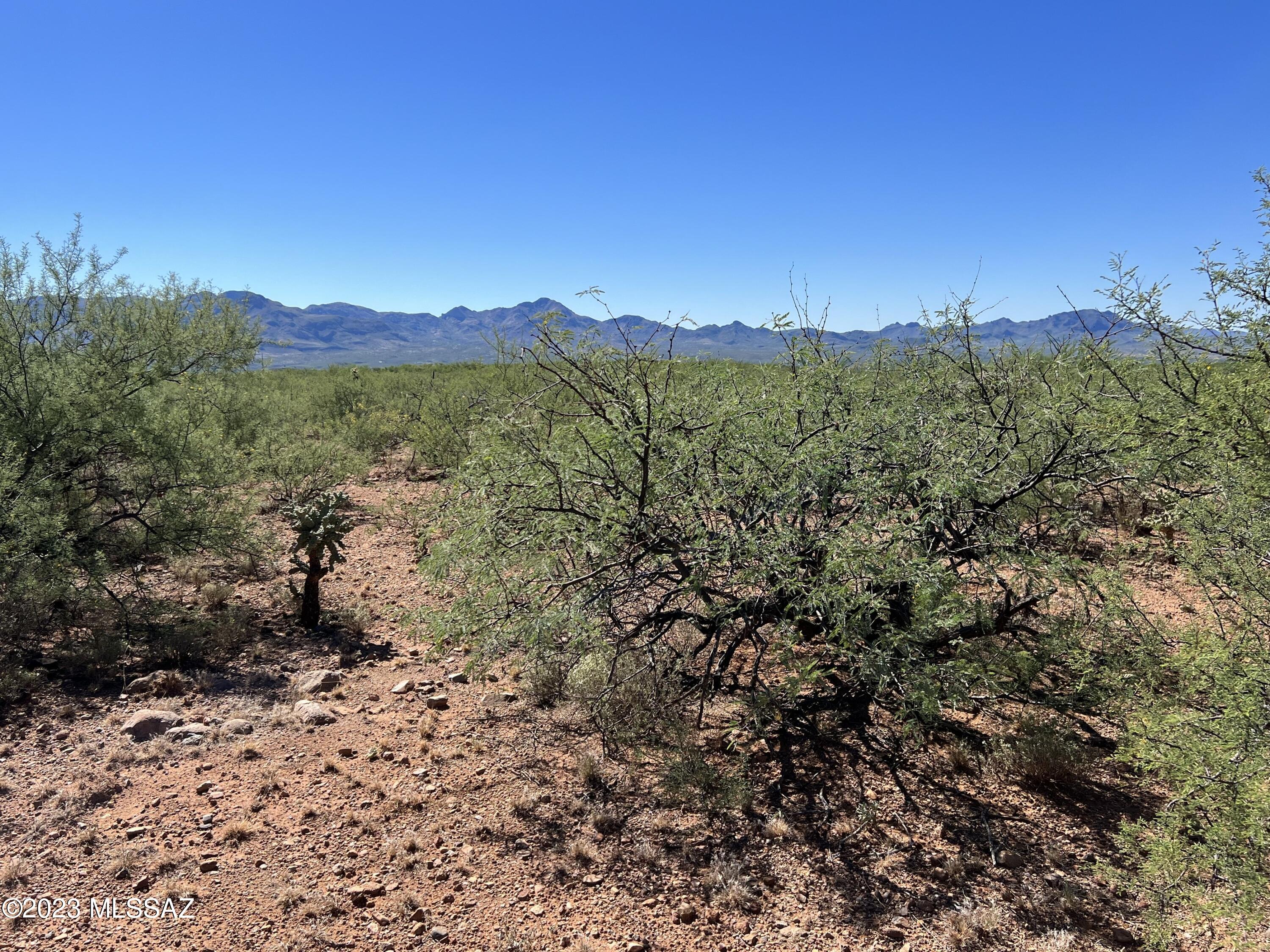 Tubac Foothills Ranch - Land
