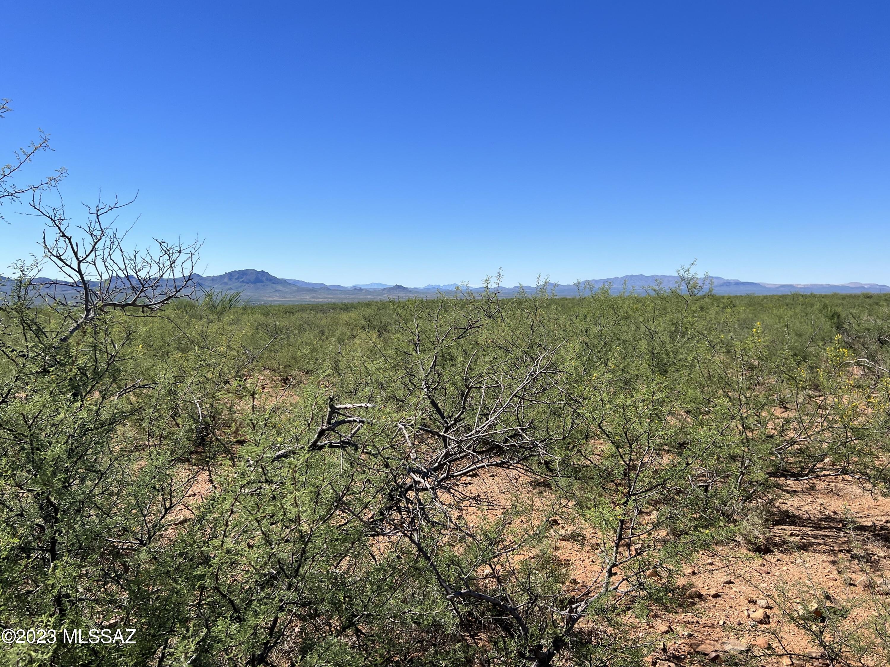Tubac Foothills Ranch - Land