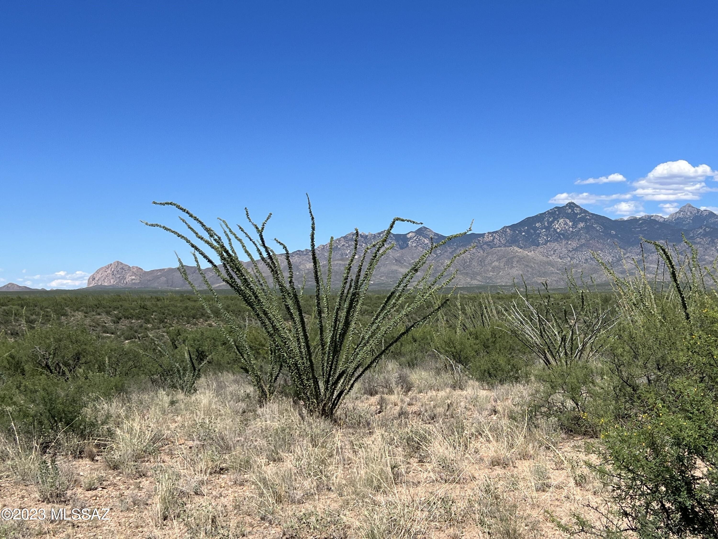 Tubac Foothills Ranch - Land