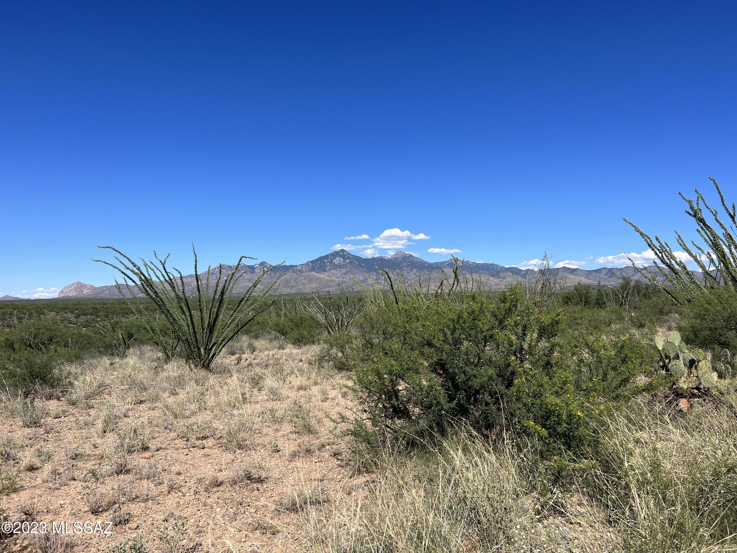 Tubac Foothills Ranch - Land