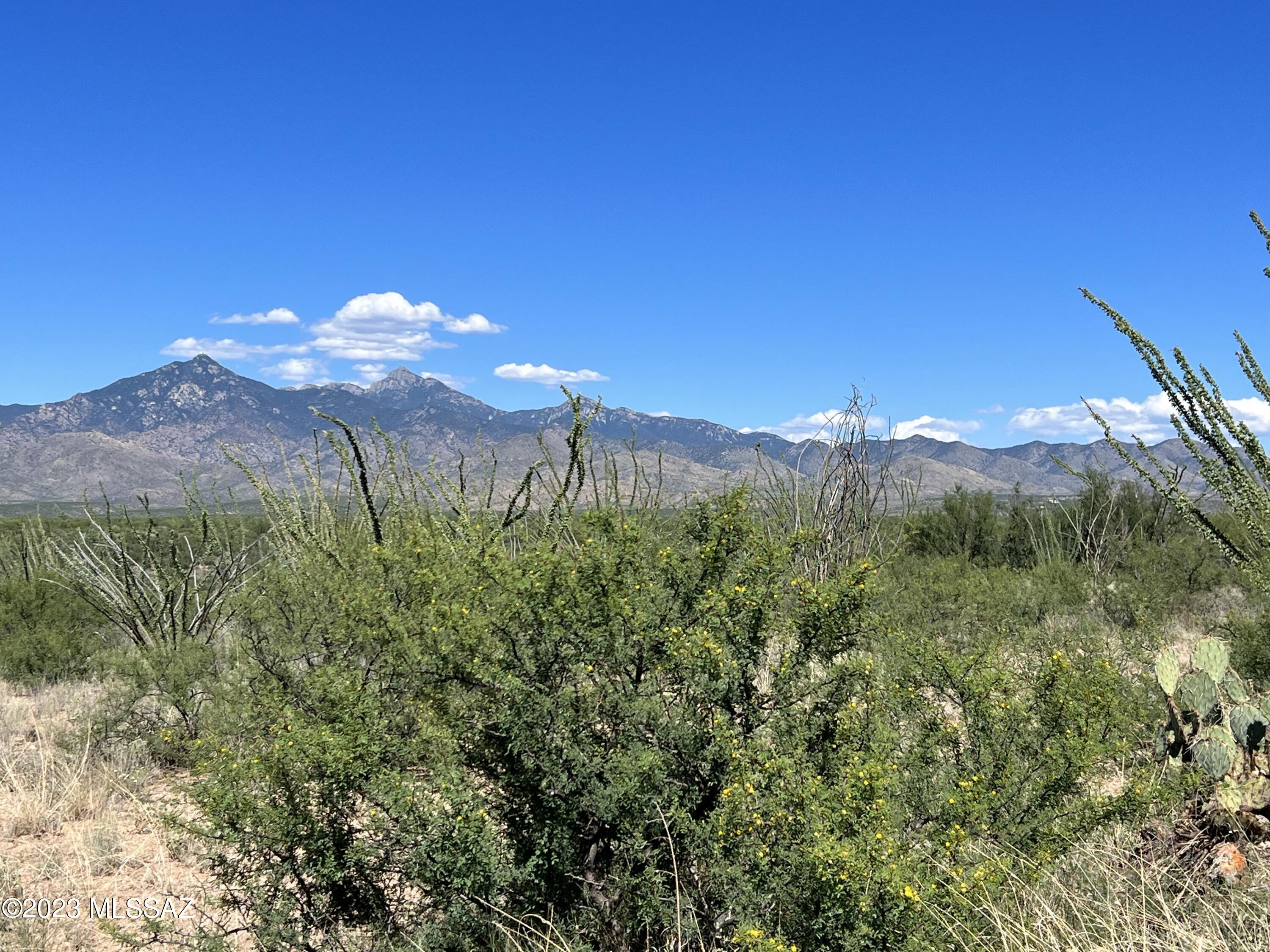 Tubac Foothills Ranch - Land