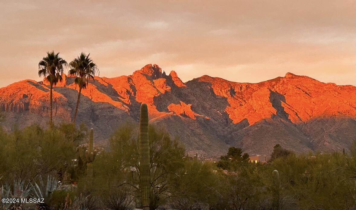 Catalina Foothills Estates NO. 6 (1-54) - Residential