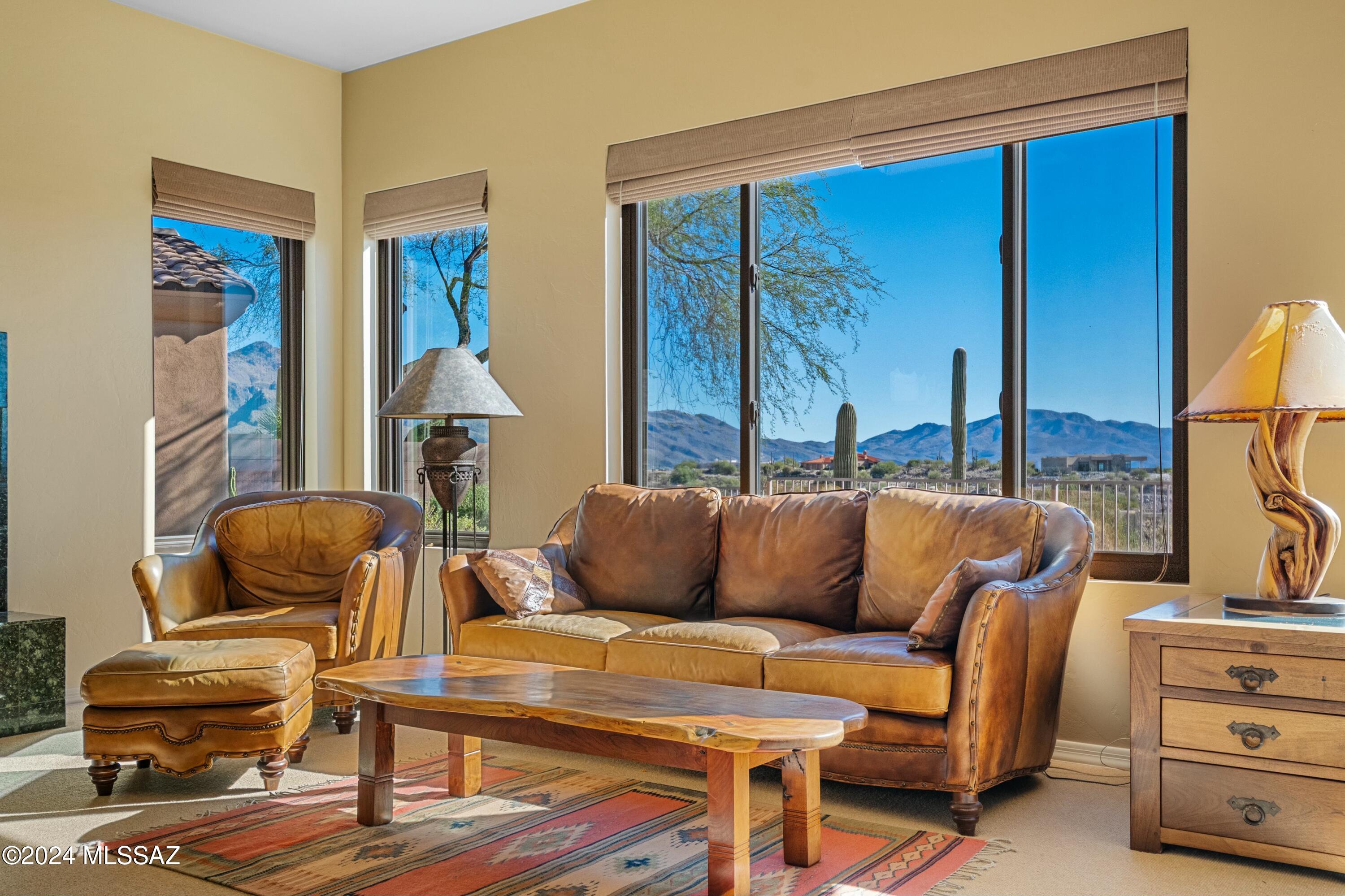 Sabino Mountain (1-290) - Residential
