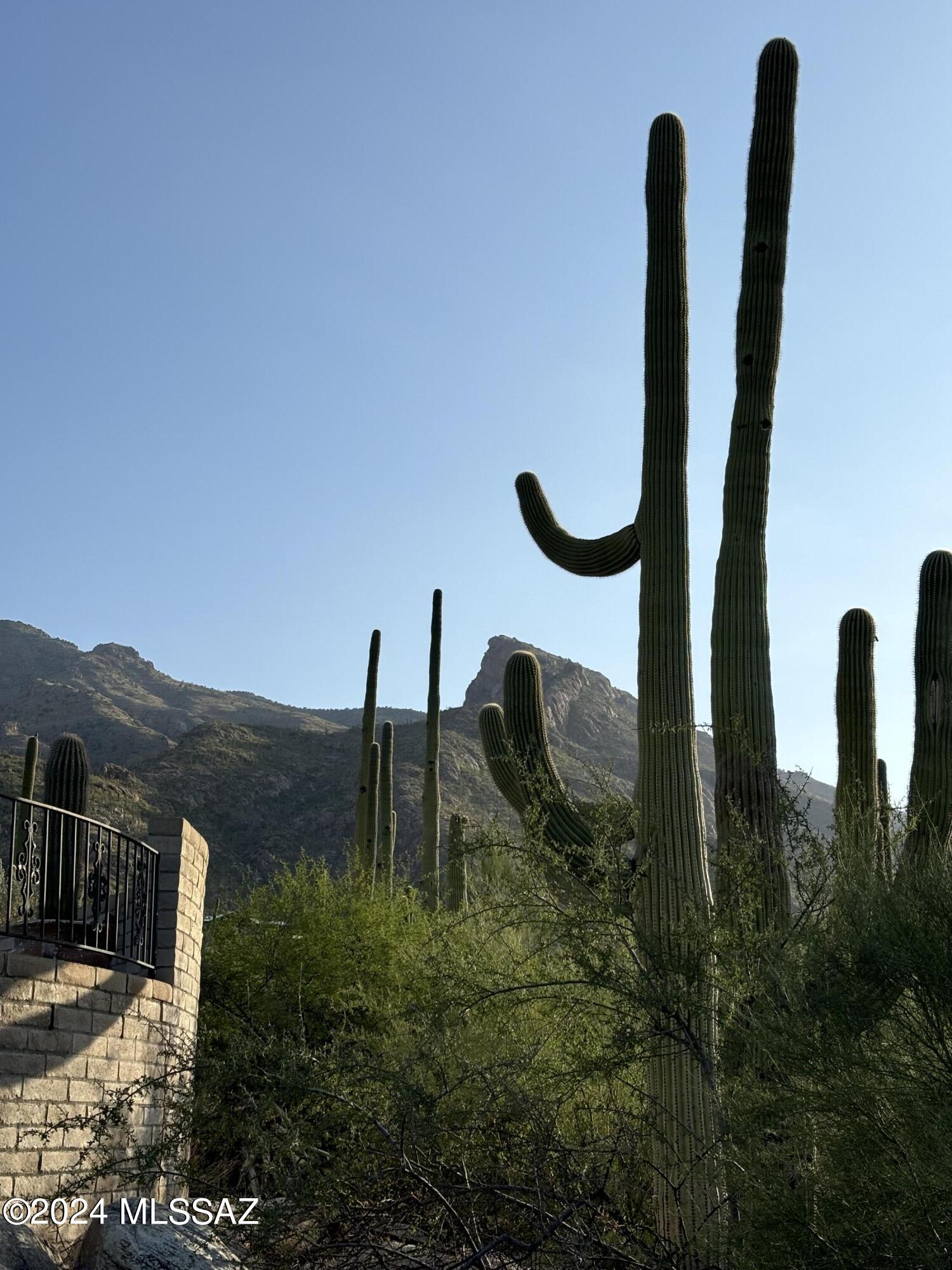 Coronado Foothills Estates - Residential