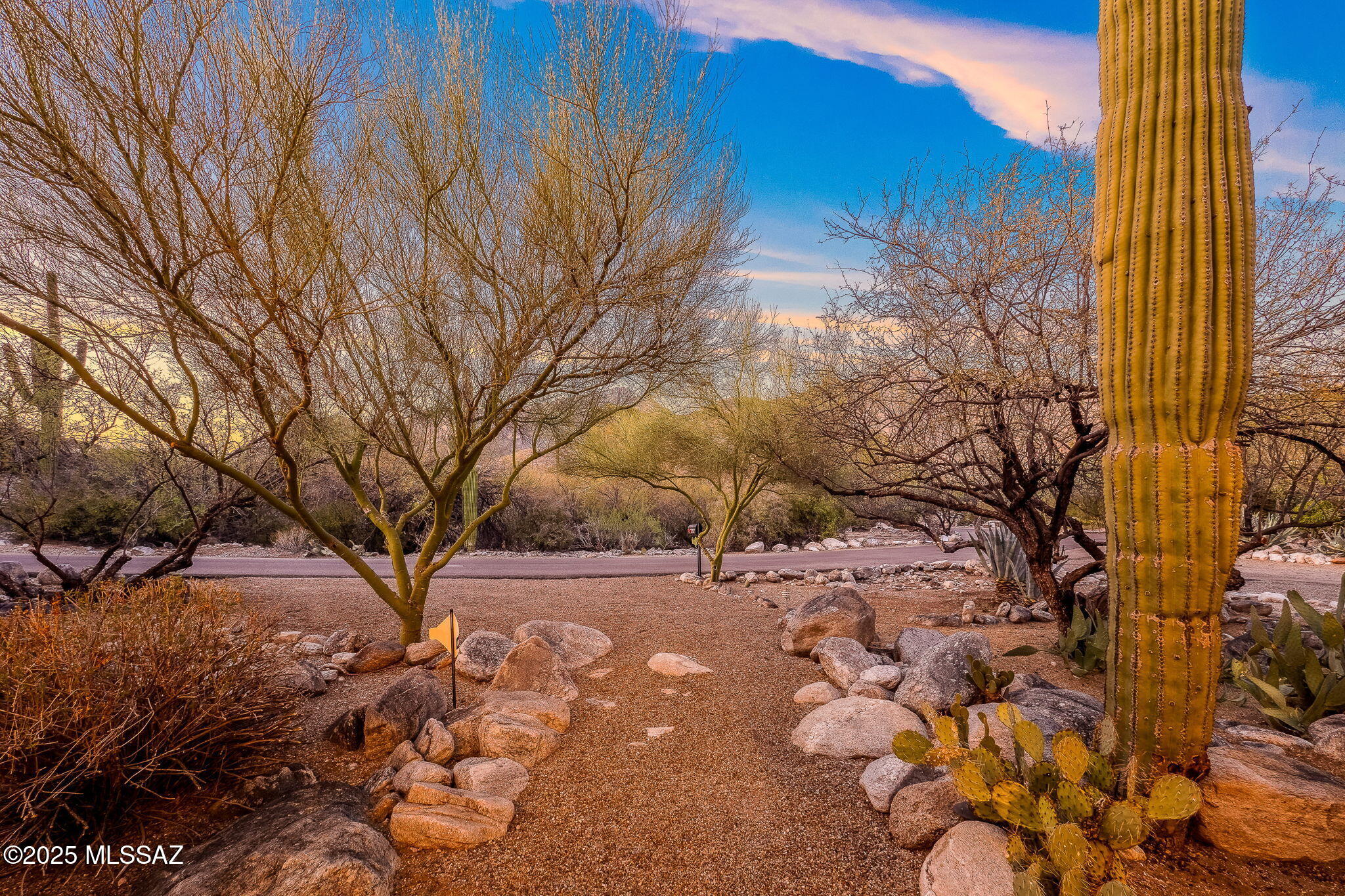 Coronado Foothills Estates - Residential