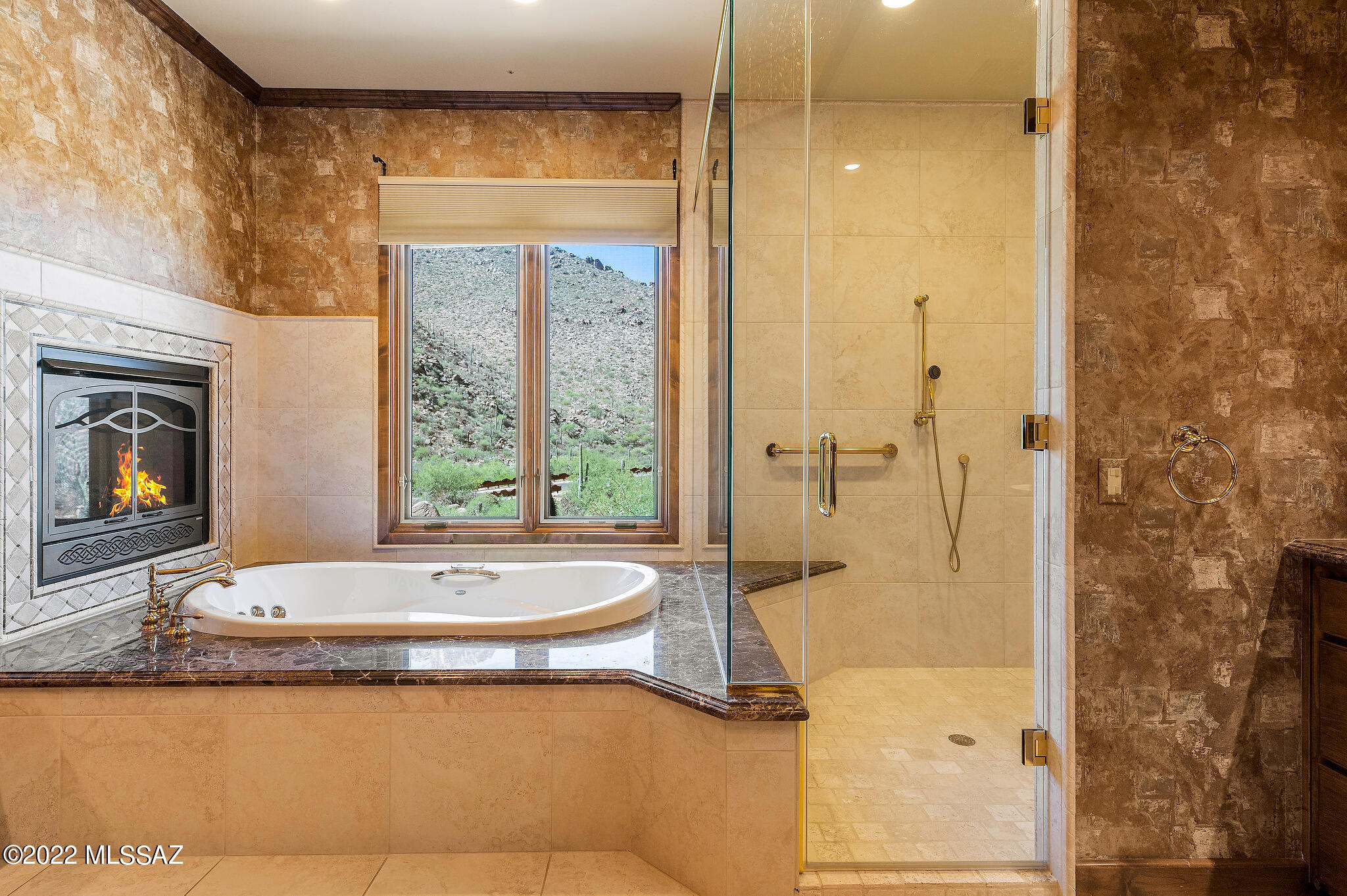 Canyon Pass At Dove Mountain - Residential