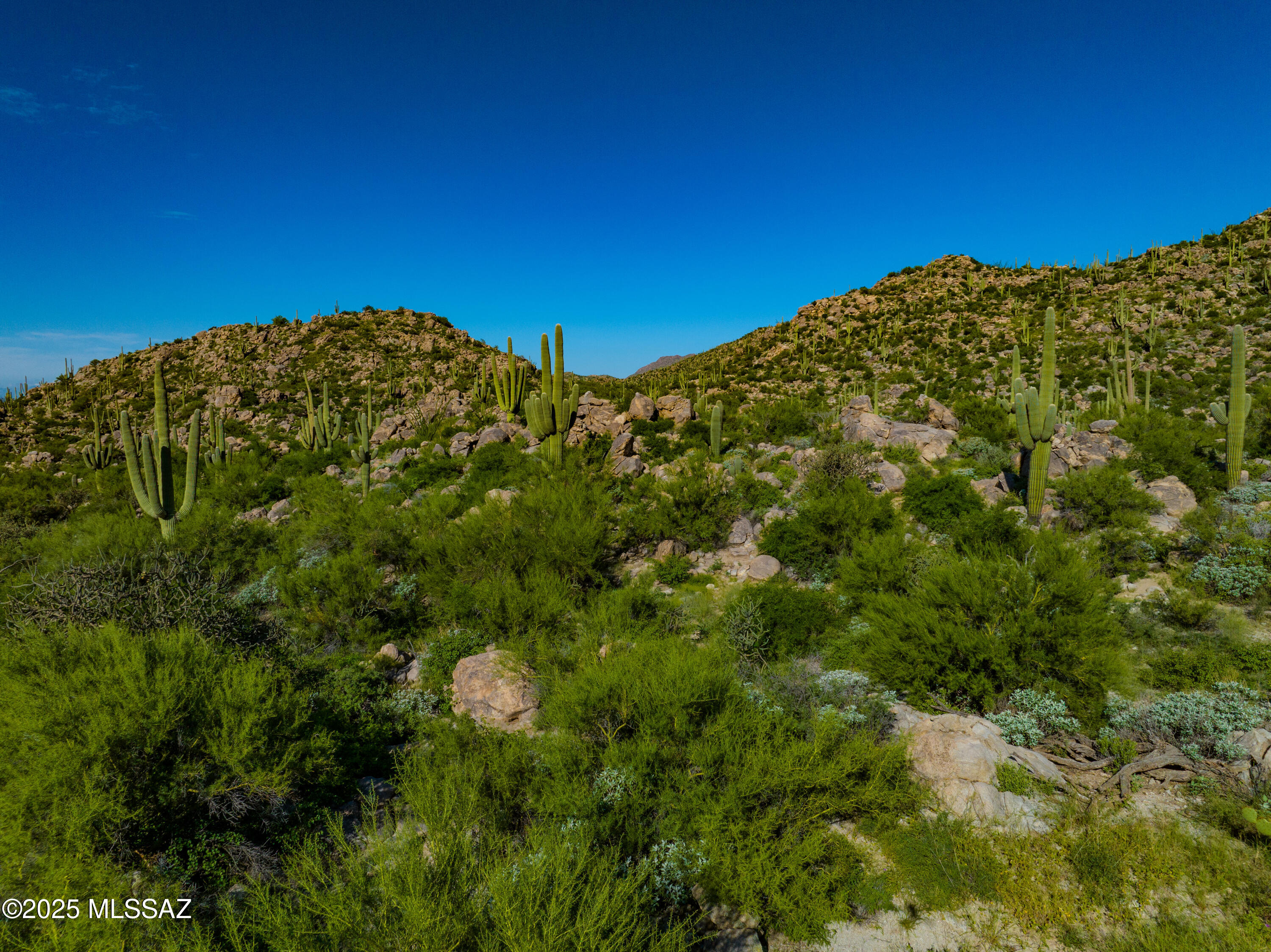 Stone Canyon VII (404-485) - Residential