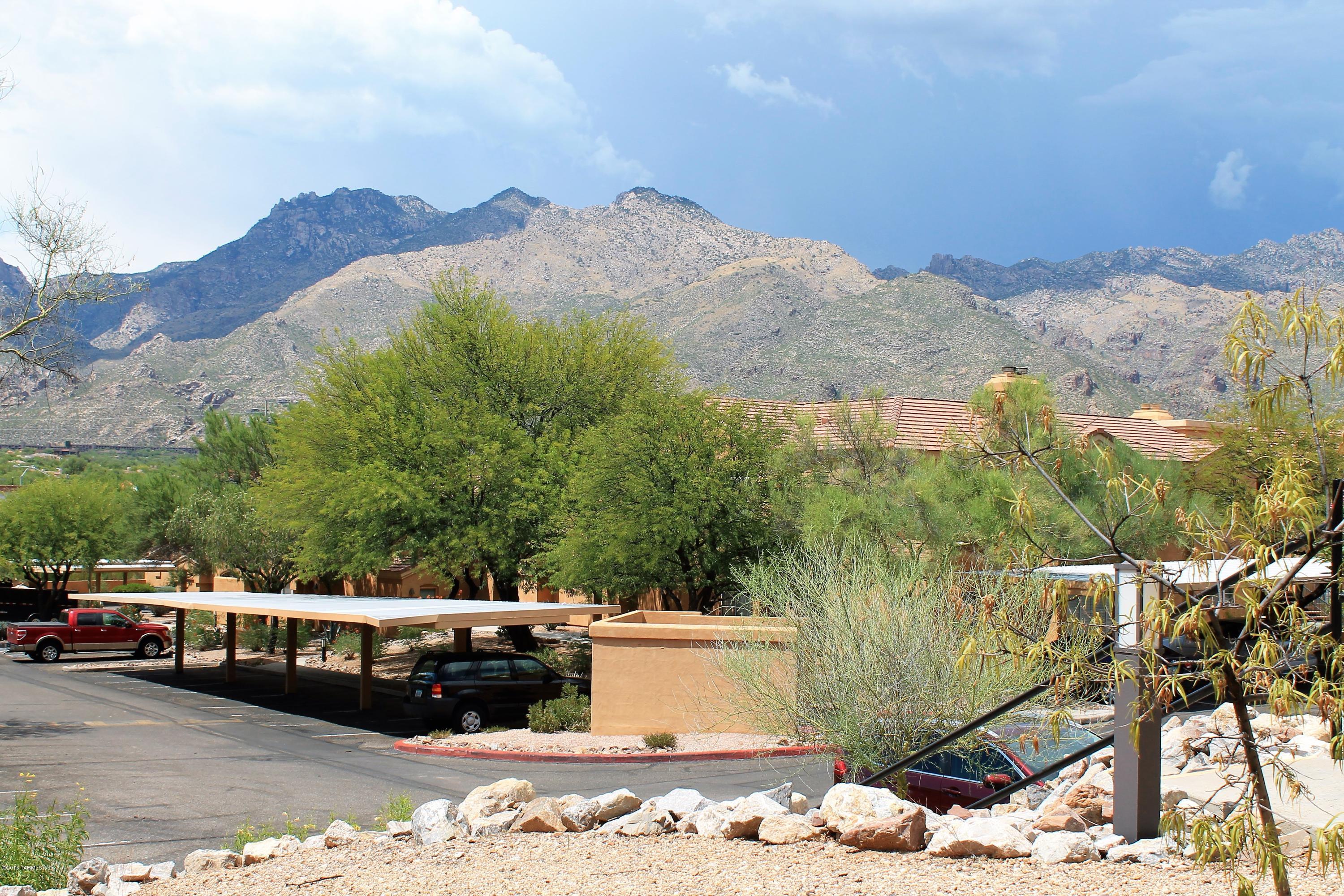 Pinnacle Canyon Condominium - Residential