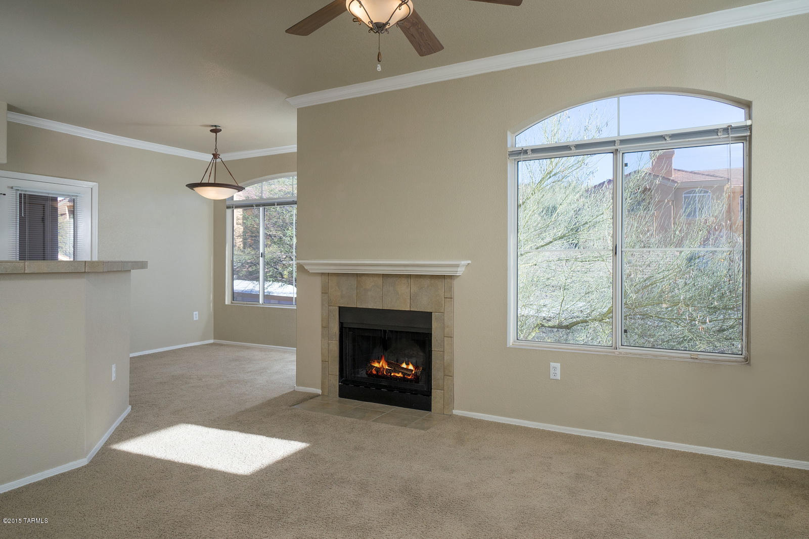 Pinnacle Canyon Condominium - Residential