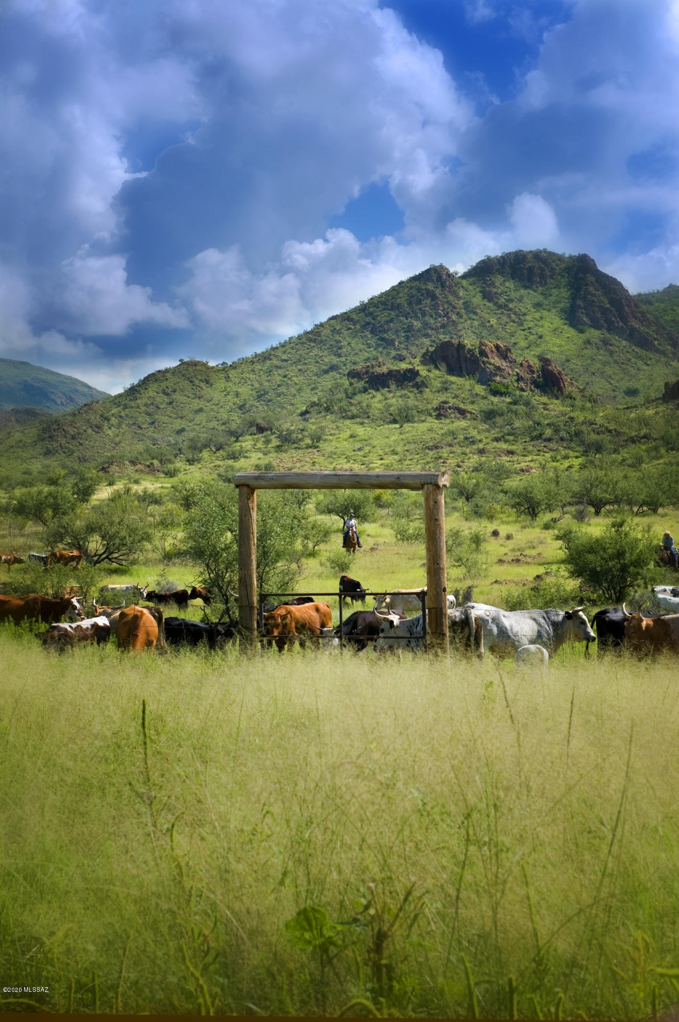 Morning Star Ranch - Residential