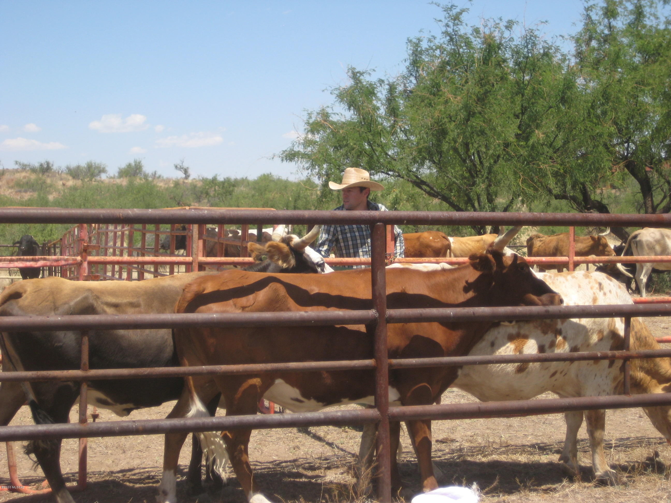Morning Star Ranch - Residential