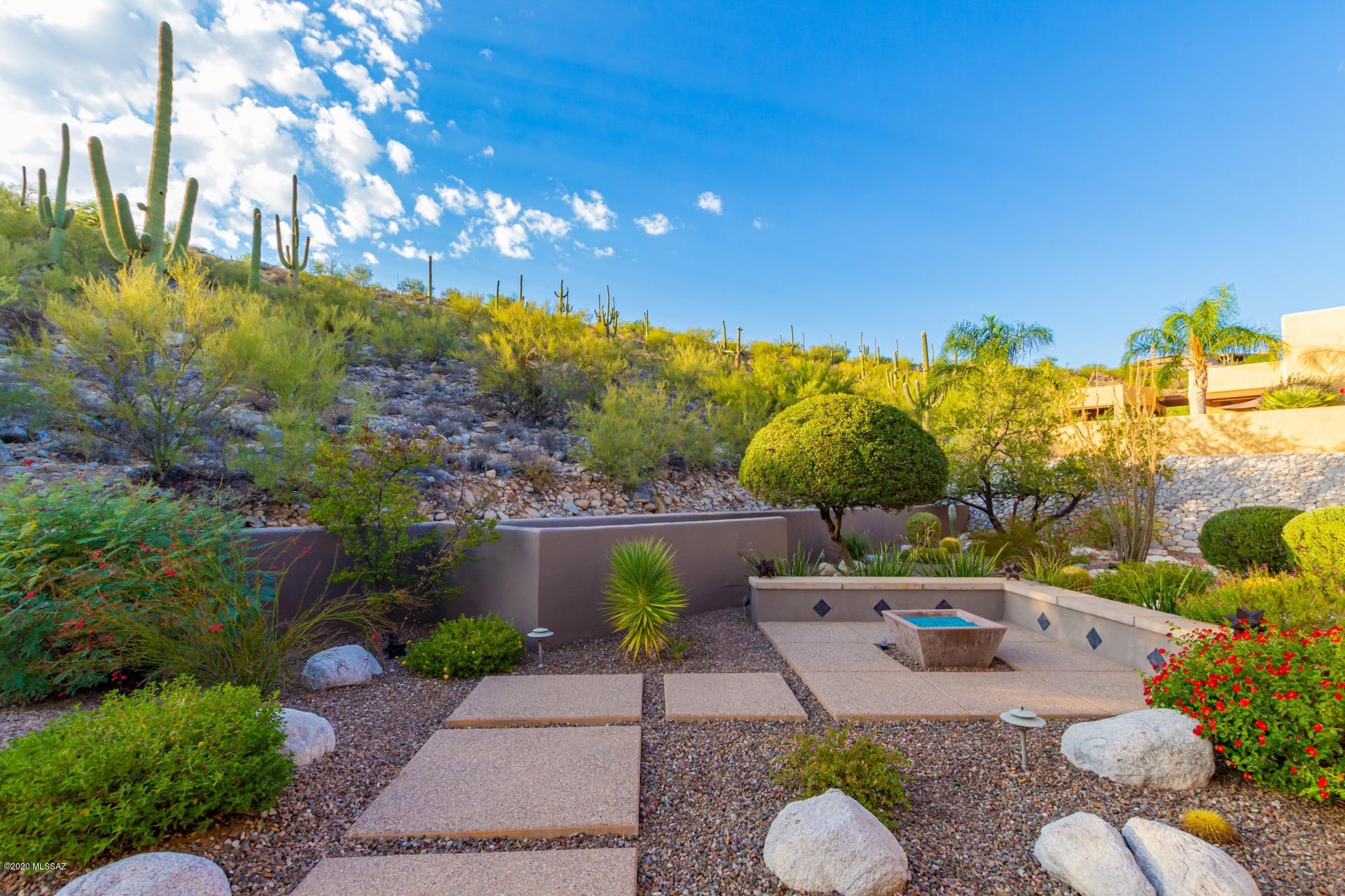 Sabino Mountain (1-290) - Residential