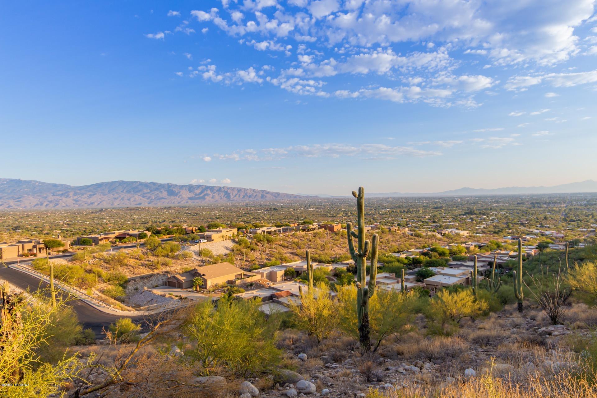 Sabino Mountain (1-290) - Residential