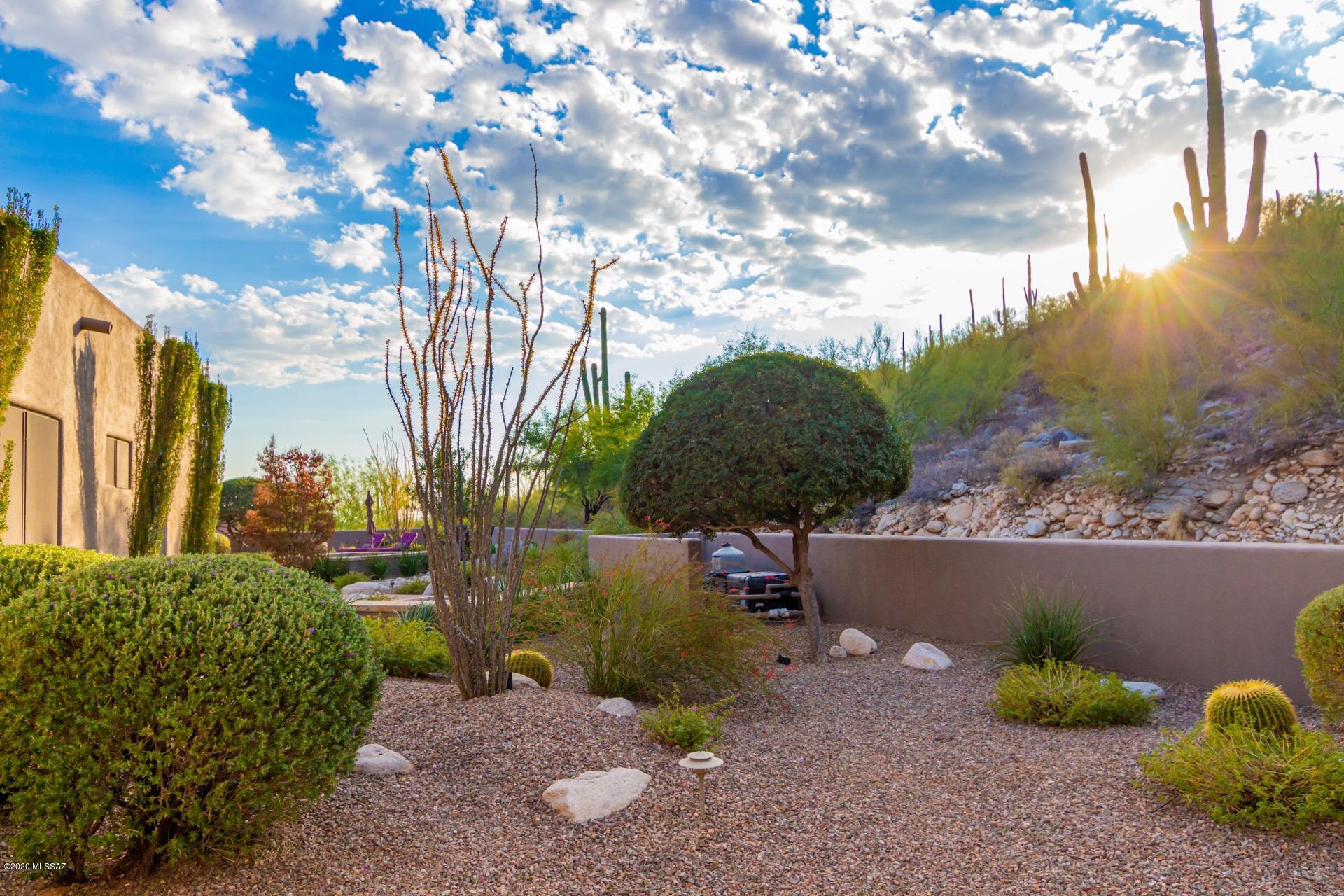 Sabino Mountain (1-290) - Residential