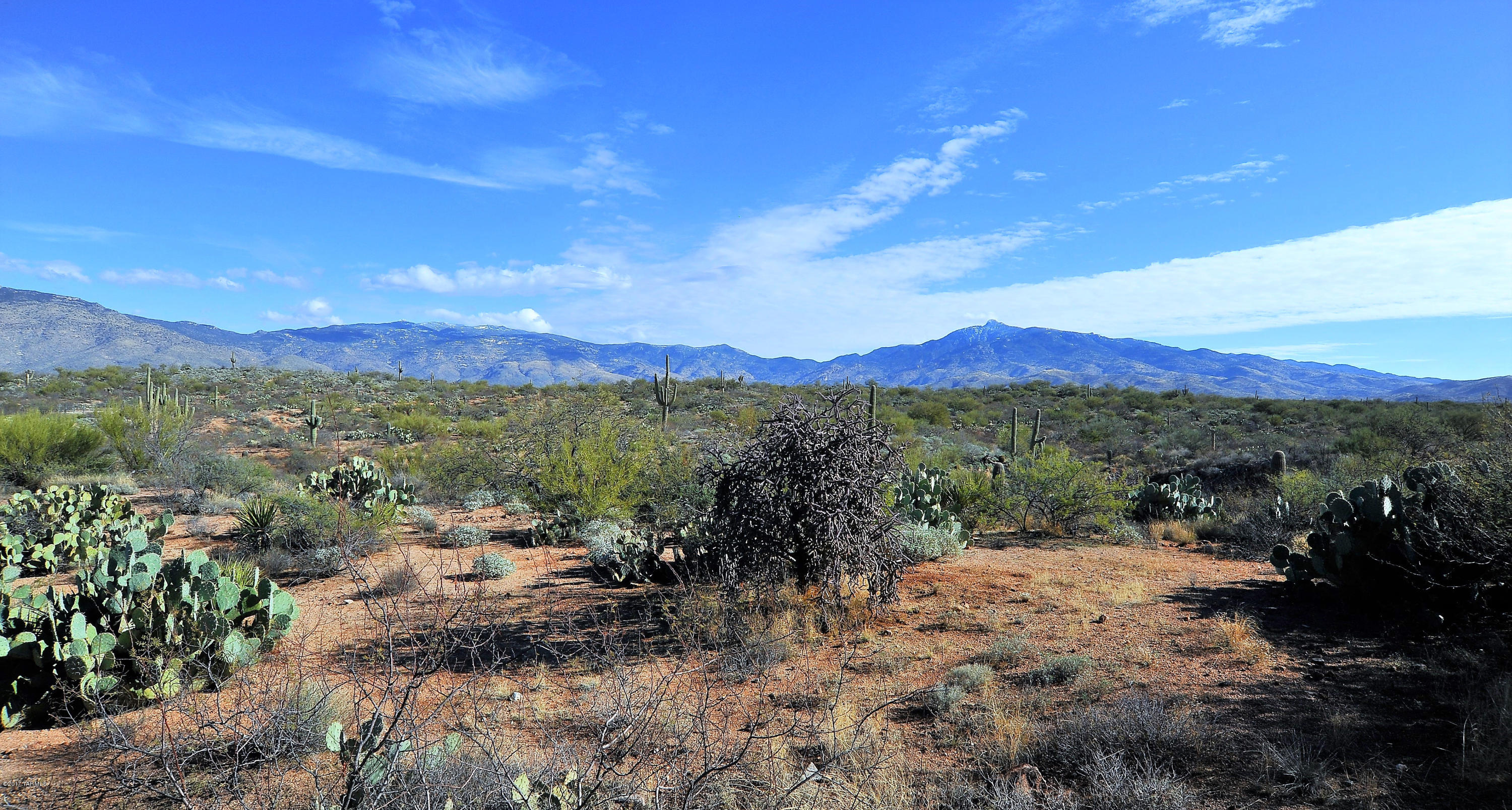 Coyote Creek (1-395) - Residential