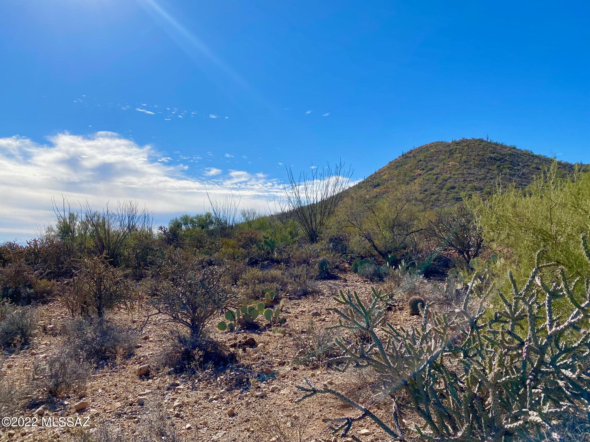 Tucson Park West (99-204) - Residential