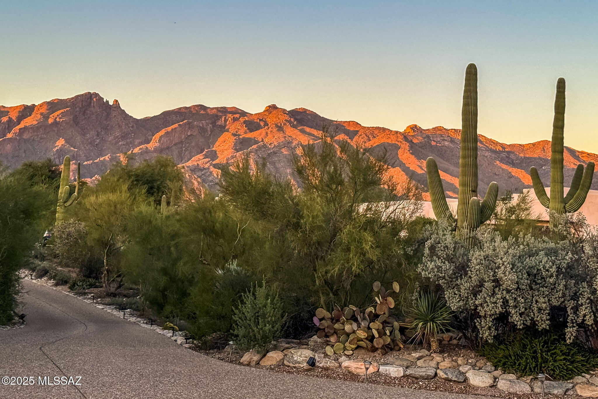Catalina Foothills Estates NO. 10 (91-118, 120, 122, 124-126,154-160) - Residential