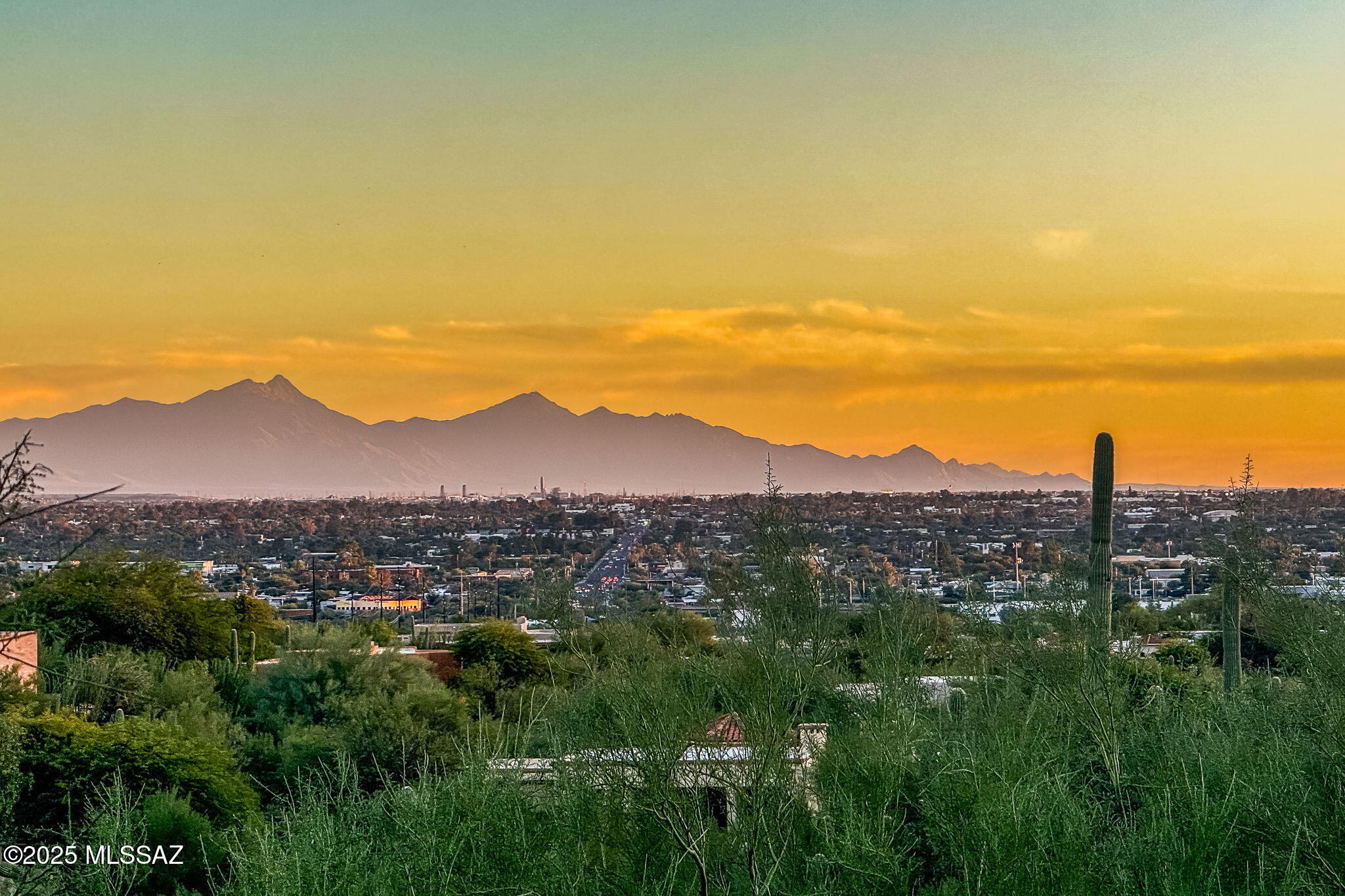 Catalina Foothills Estates NO. 10 (91-118, 120, 122, 124-126,154-160) - Residential