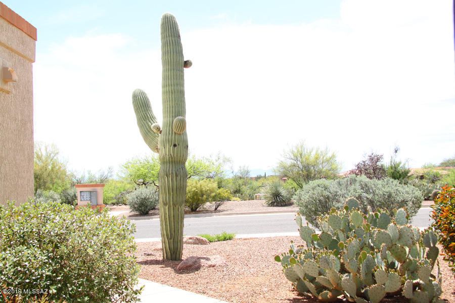 Sun City Vistoso Unit 4(1-53) - Residential