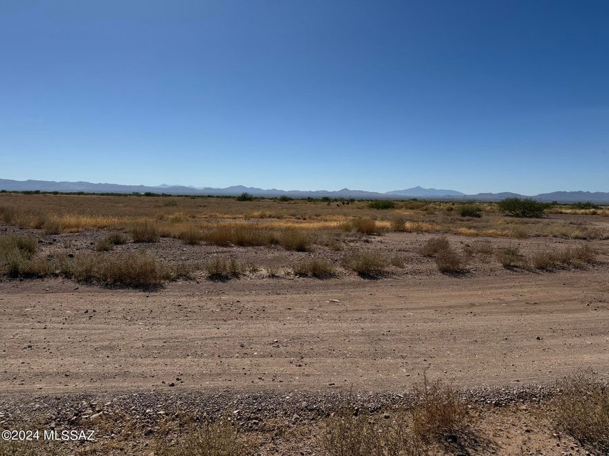 Nice buildable lot, with easy access to Leslie Canyon Rd. A short drive to Douglas for shopping or over to one of the many historical sites in Cochise County.