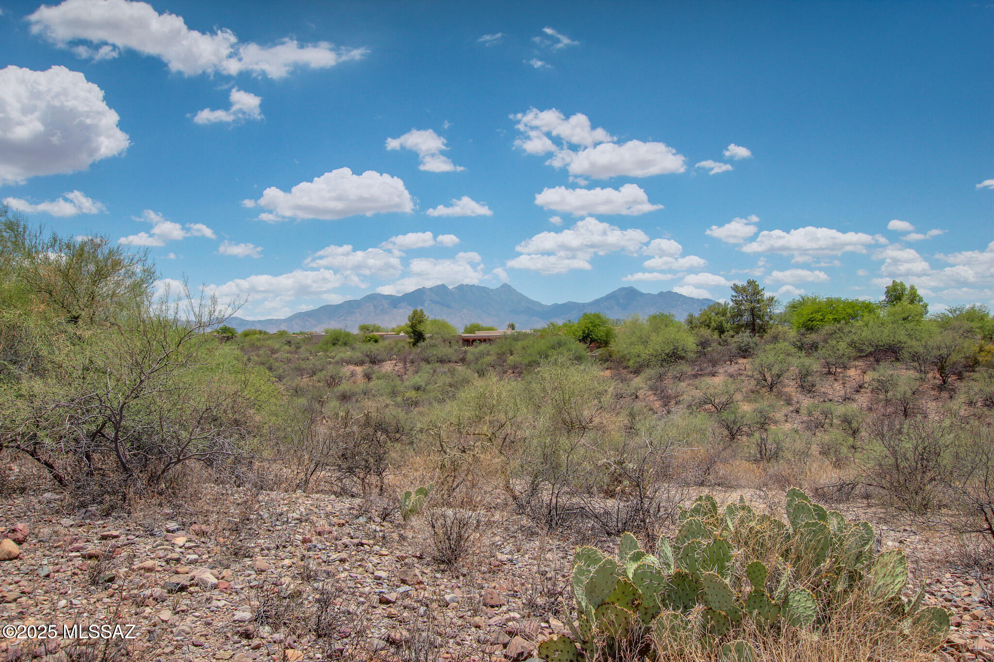 Madera Reserve Phase I(1-130) - Land