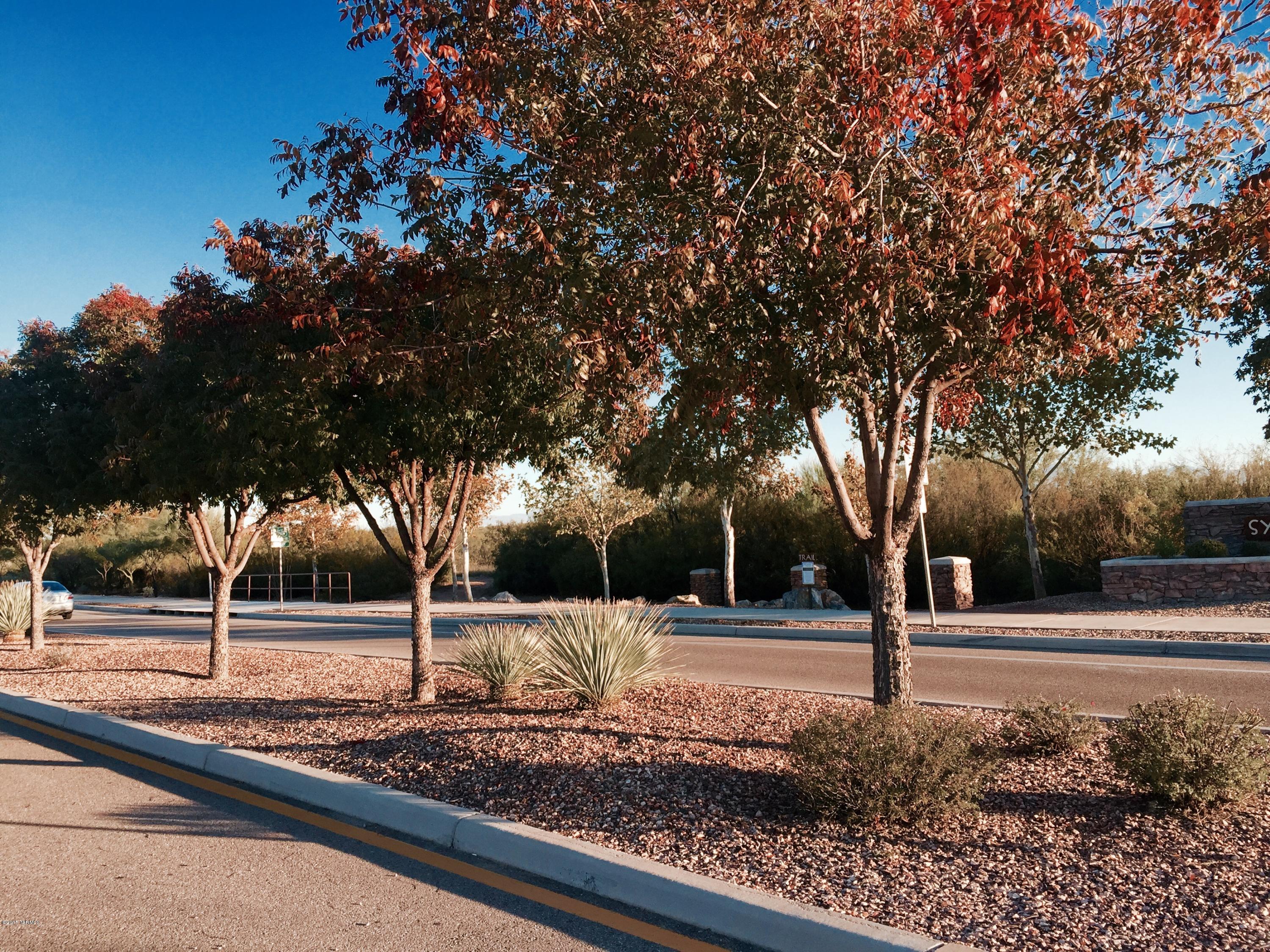Sycamore Park Village 5 (1-219) - Residential