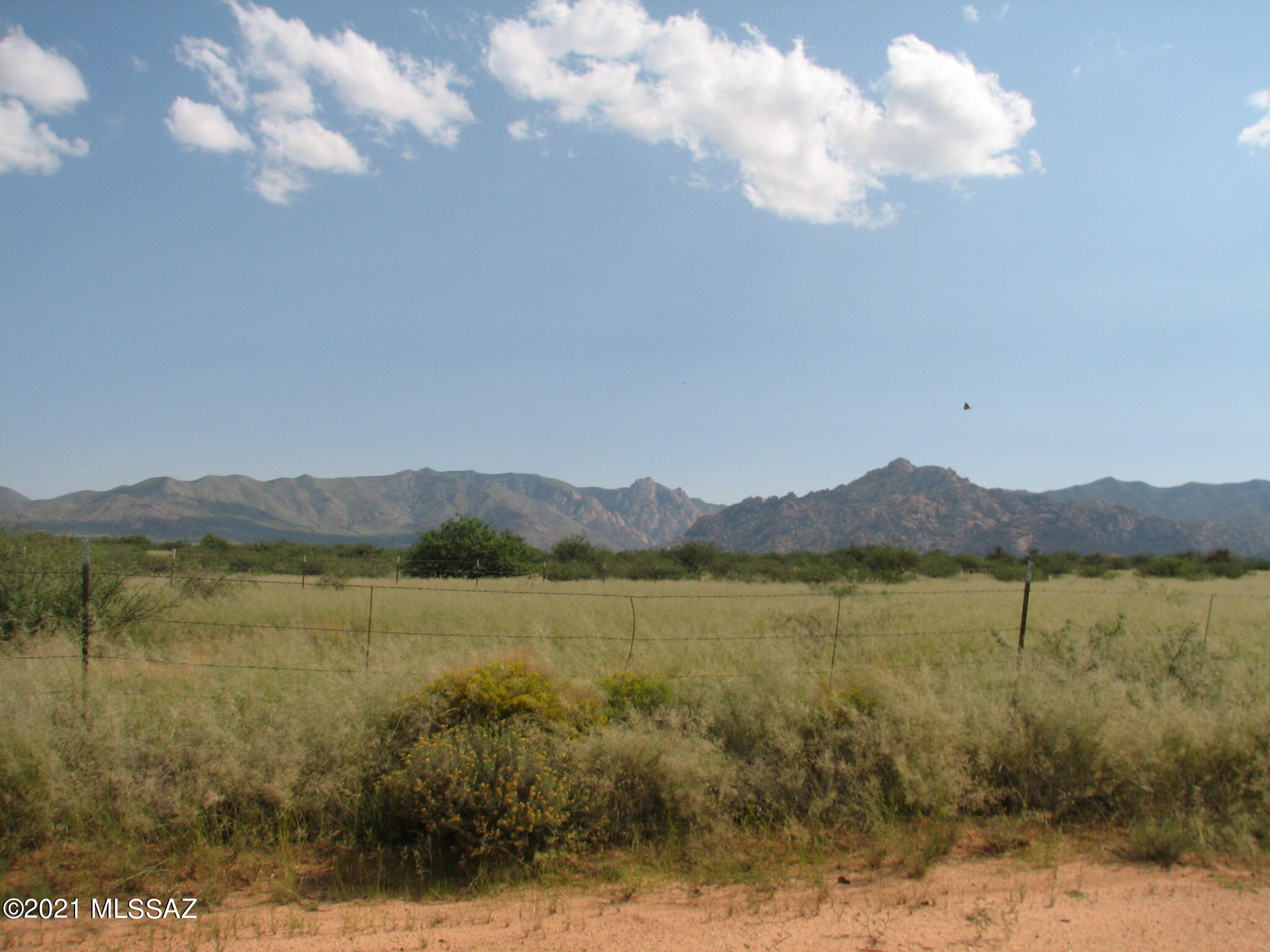 Dragoon Mountain Ranch - Land