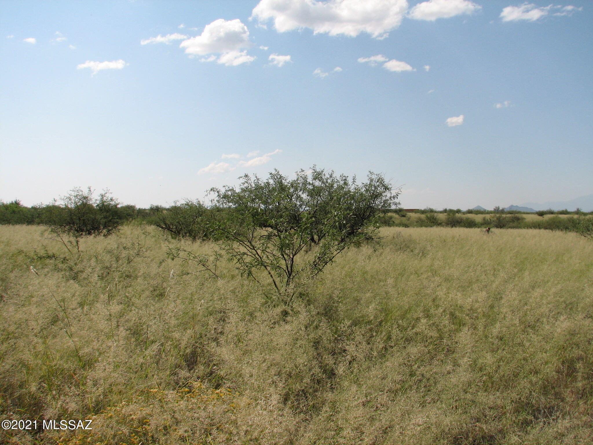 Dragoon Mountain Ranch - Land