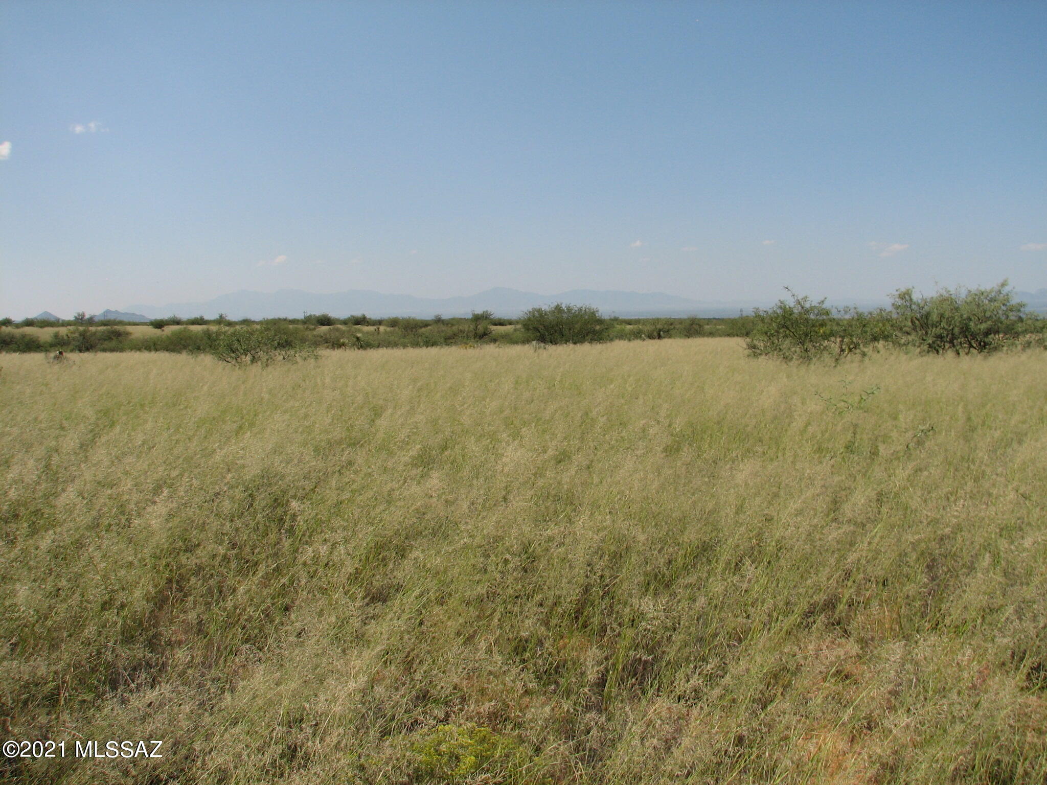 Dragoon Mountain Ranch - Land