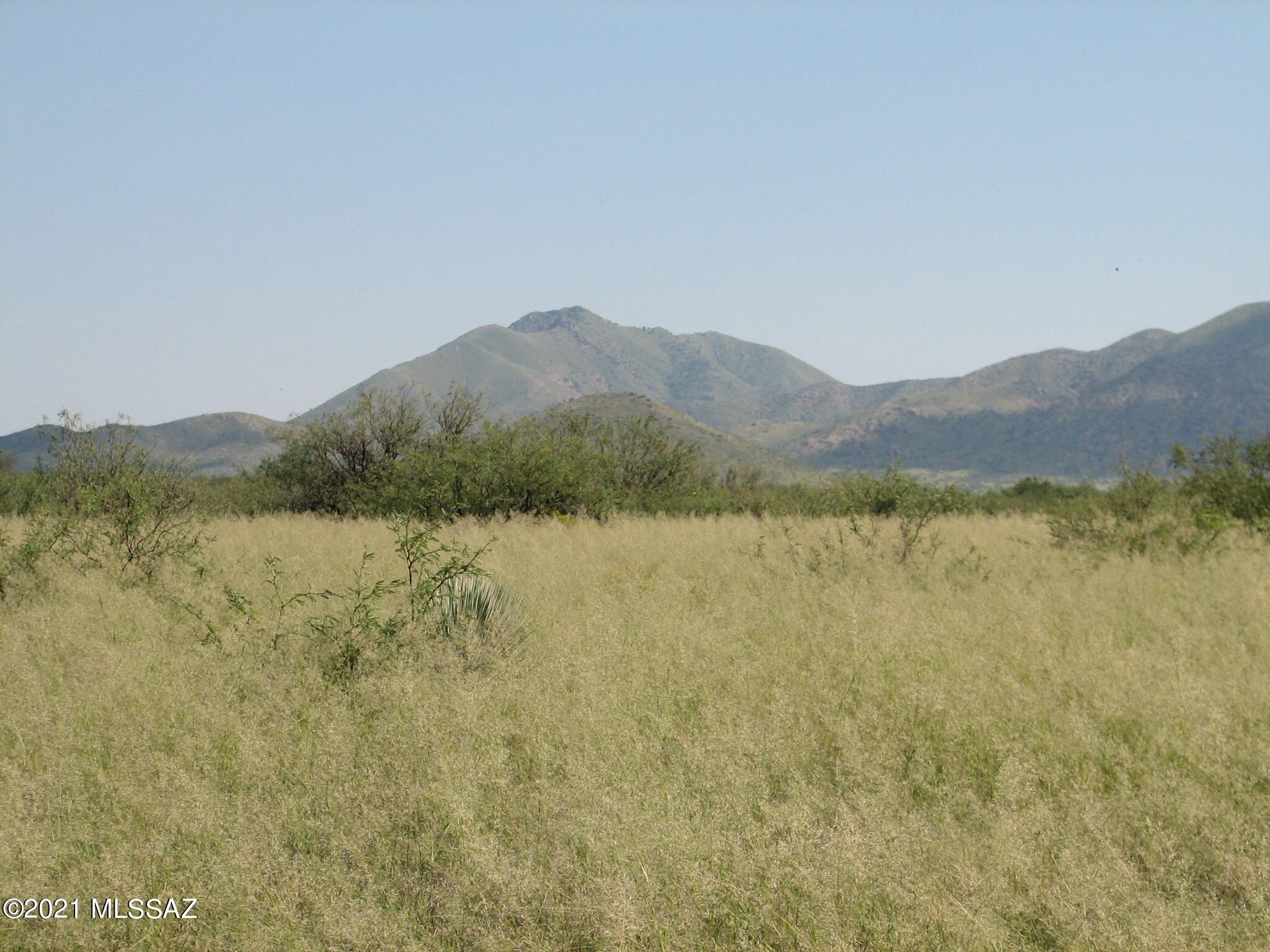 Dragoon Mountain Ranch - Land