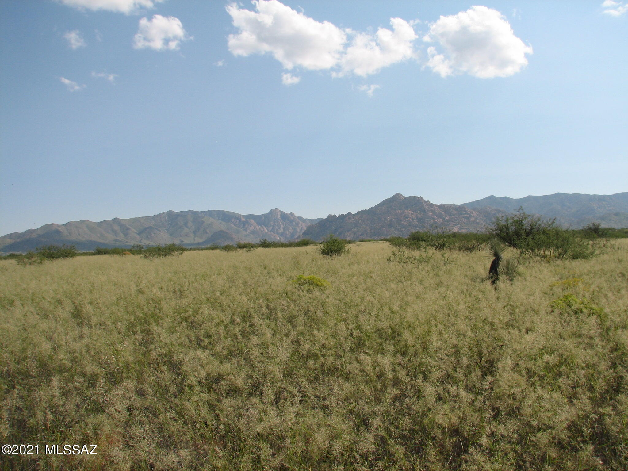 Dragoon Mountain Ranch - Land