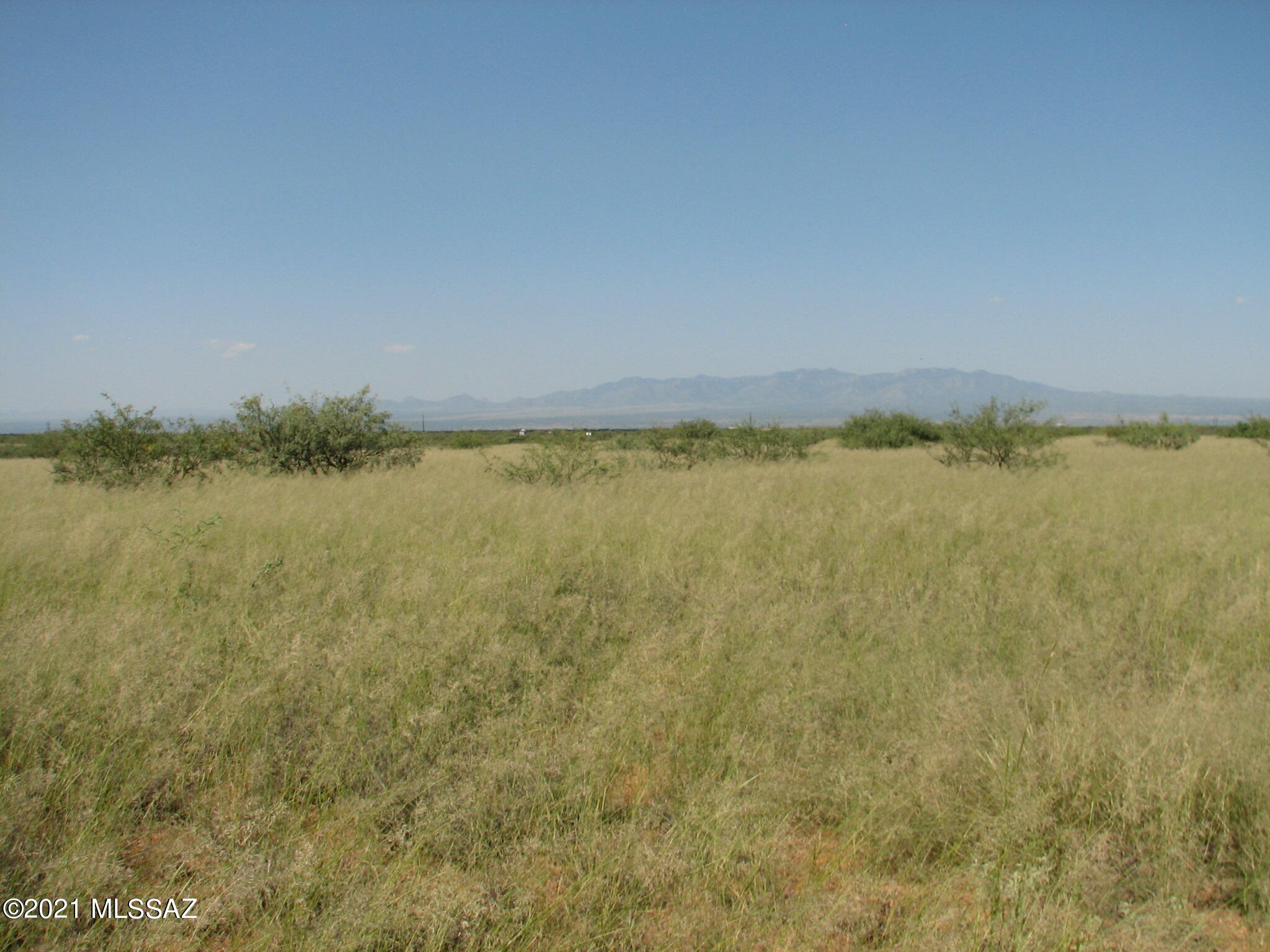 Dragoon Mountain Ranch - Land