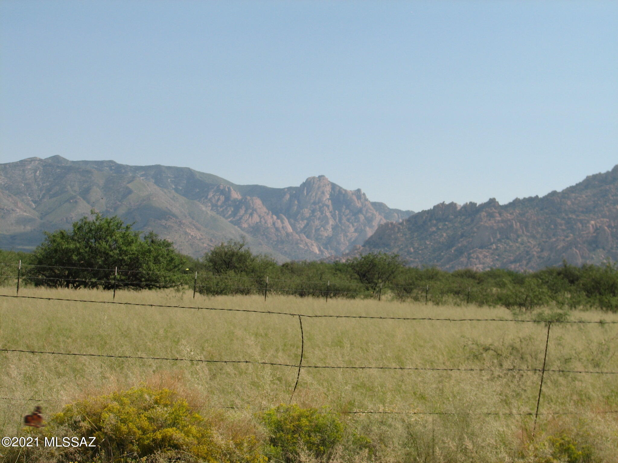 Dragoon Mountain Ranch - Land