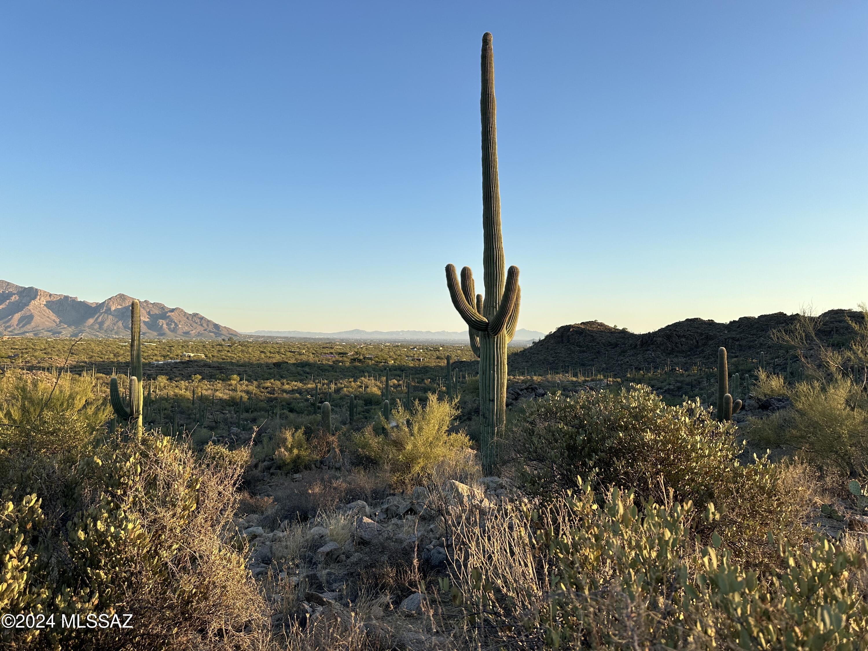 13672 N Old Ranch House Road Lot 1