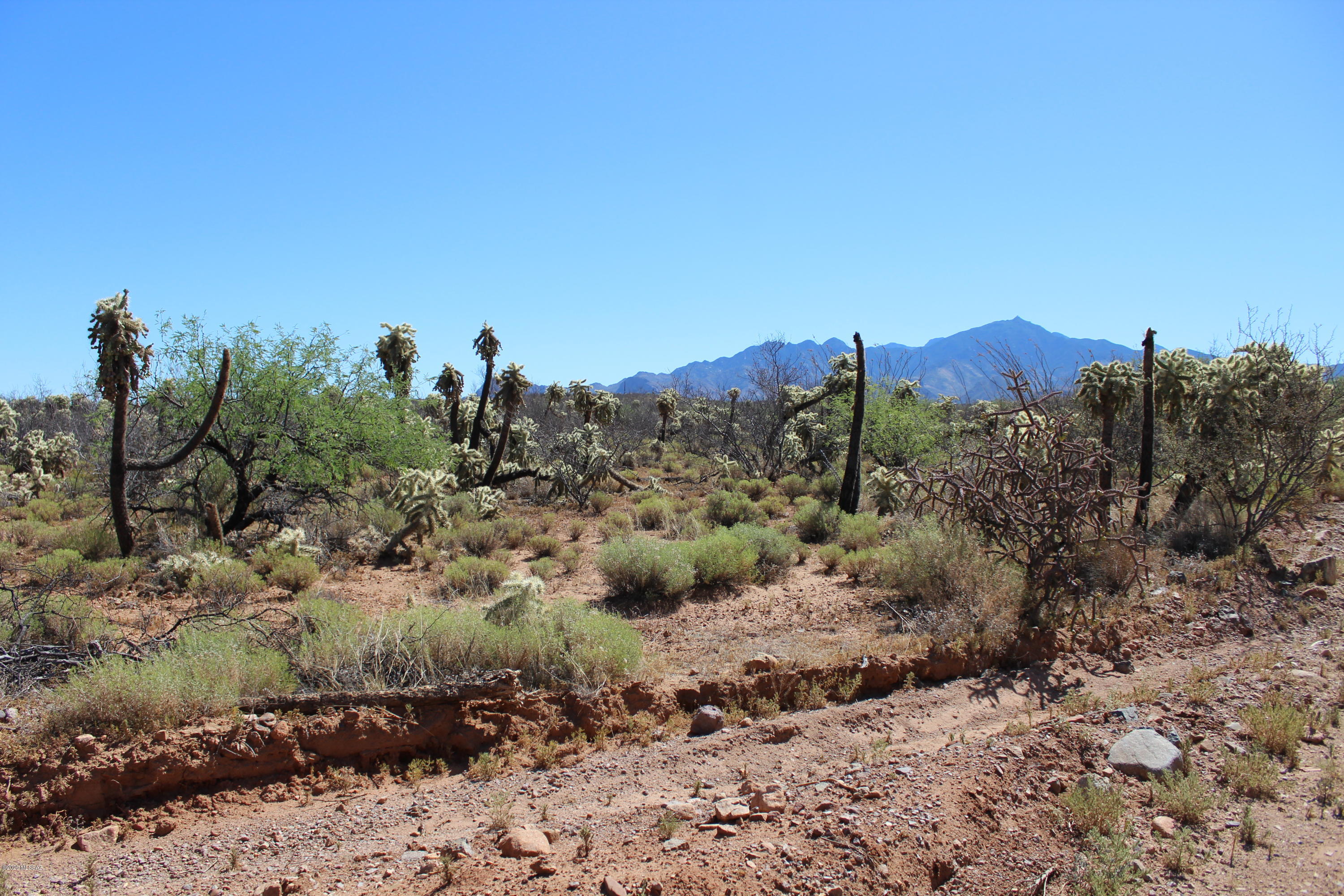 Agua Caliente Ranch Estates (1-46) - Land