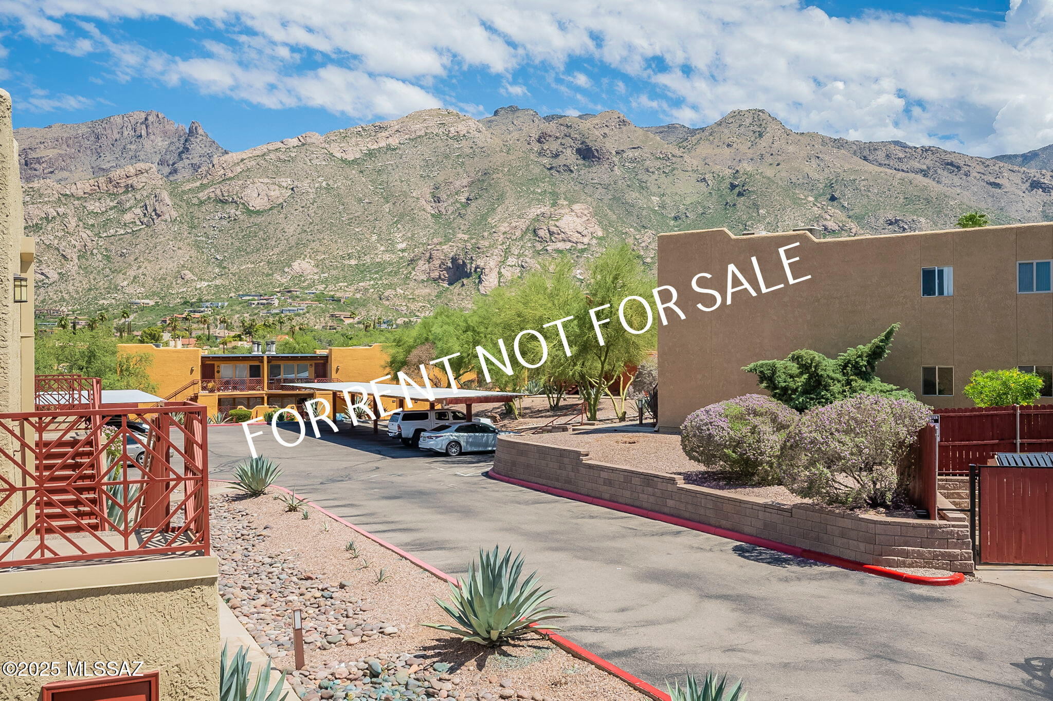 6255 N Camino Pimeria Alta 22