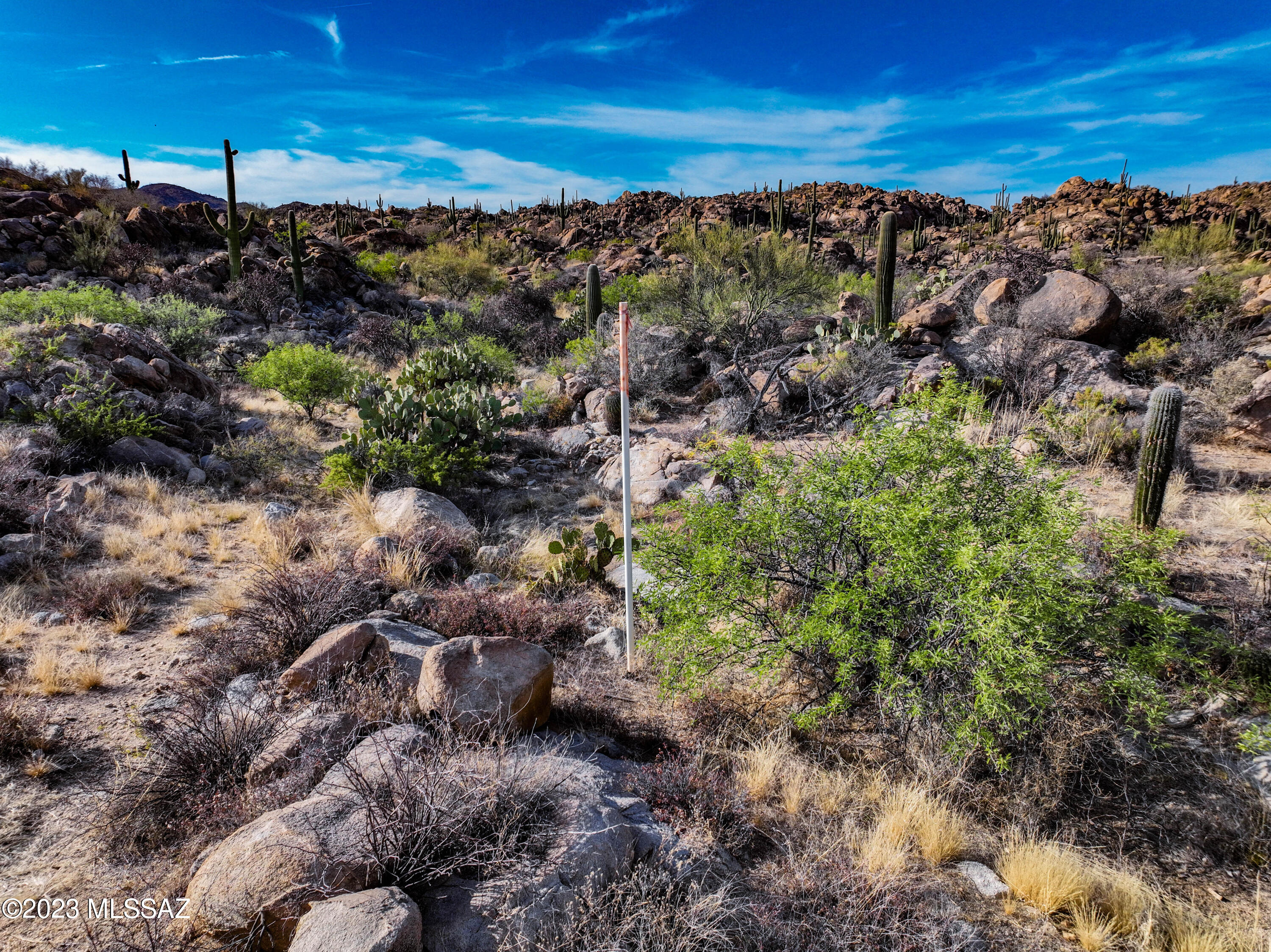 Stone Canyon VIII (486-602) - Land