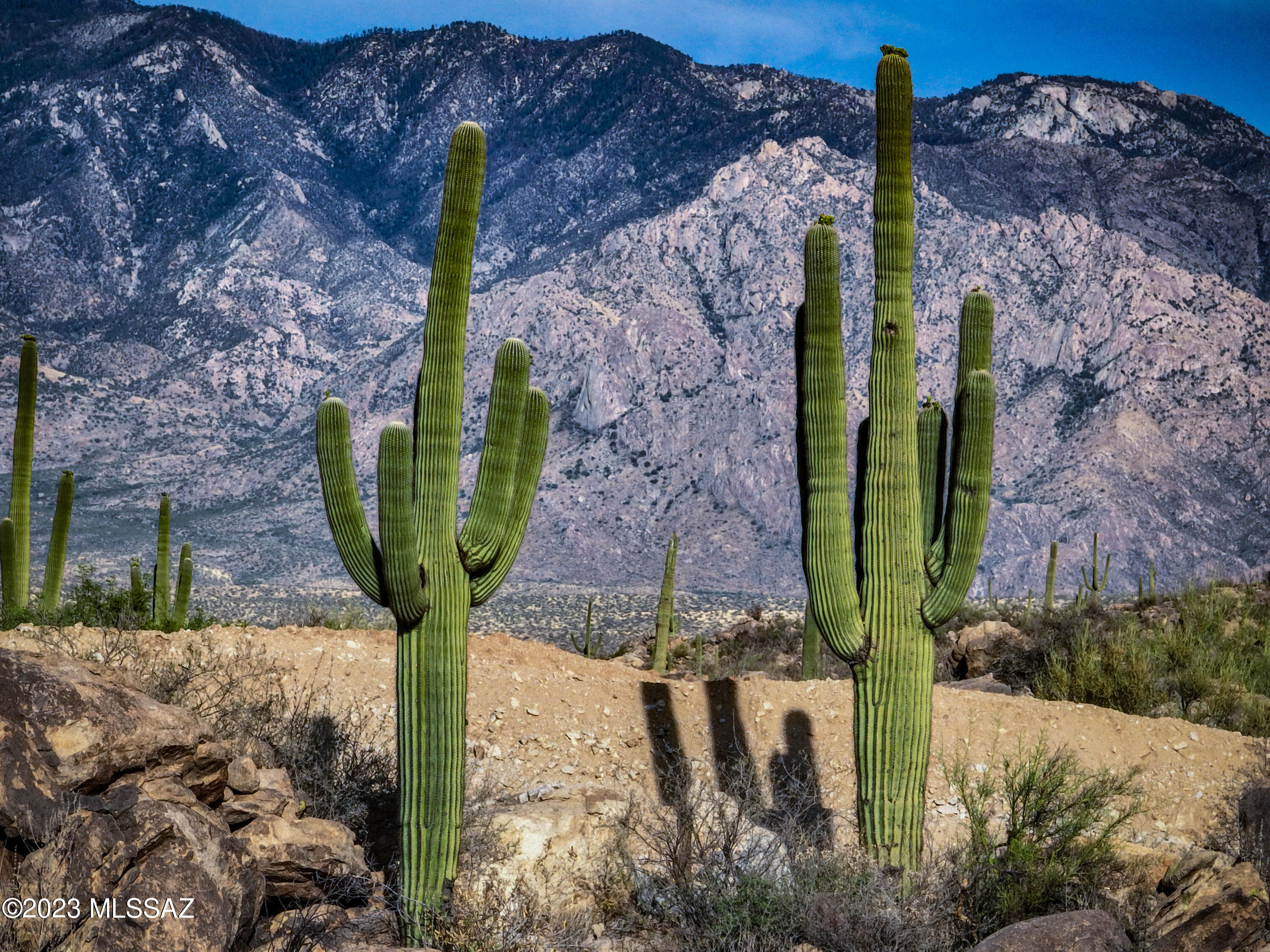 Stone Canyon VIII (486-602) - Land