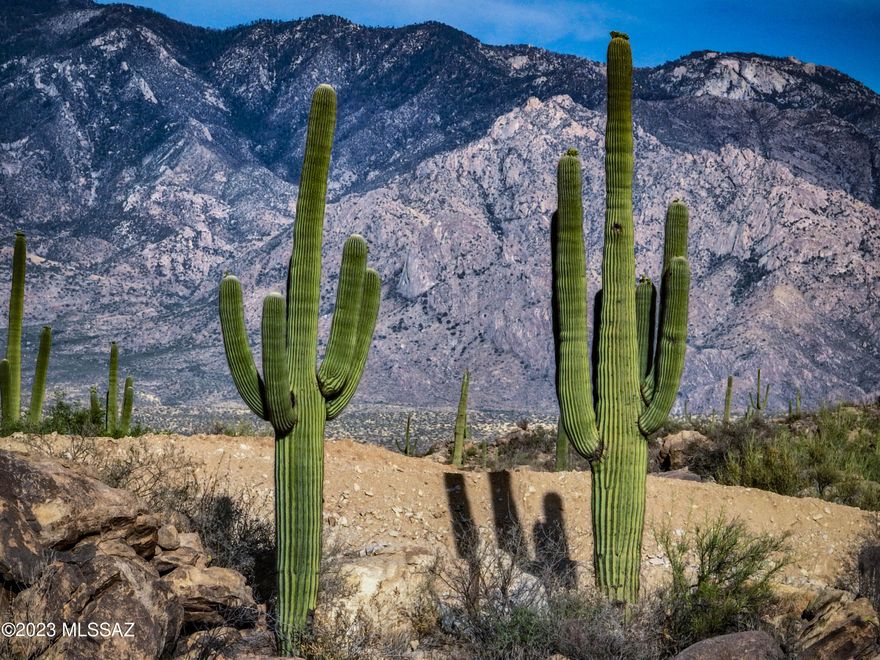 Range List Pricing: Experience desert paradise on an expansive 2.67 acres in the exclusive gated community of Stone Canyon.  Nestled among towering saguaros and lush desert vegetation, this luxury homesite offers breathtaking views of the Catalina mountains and natural rock formations throughout. This builder-owned lot provides the serene privacy you've been waiting for.
One Oak is a seasoned custom builder, poised to bring your dream to life with a home tailored precisely to your desires. Expect nothing less than the finest in craftsmanship, premium materials, luxurious amenities and exquisite finishes.  
Located in one of AZ most prestigious golf communities, Stone Canyon offers every luxury amenity you could wish for.  World-class golf course, Health & Fitness Club and Clubhouse. Just minutes from the vibrant offerings of Oro Valley and Tucson. Your private piece of paradise is near plenty of shopping, dining, entertainment, hiking/ biking trails, hospitals and so much more. Discover your own slice of Arizona's beauty in this exquisite desert retreat.