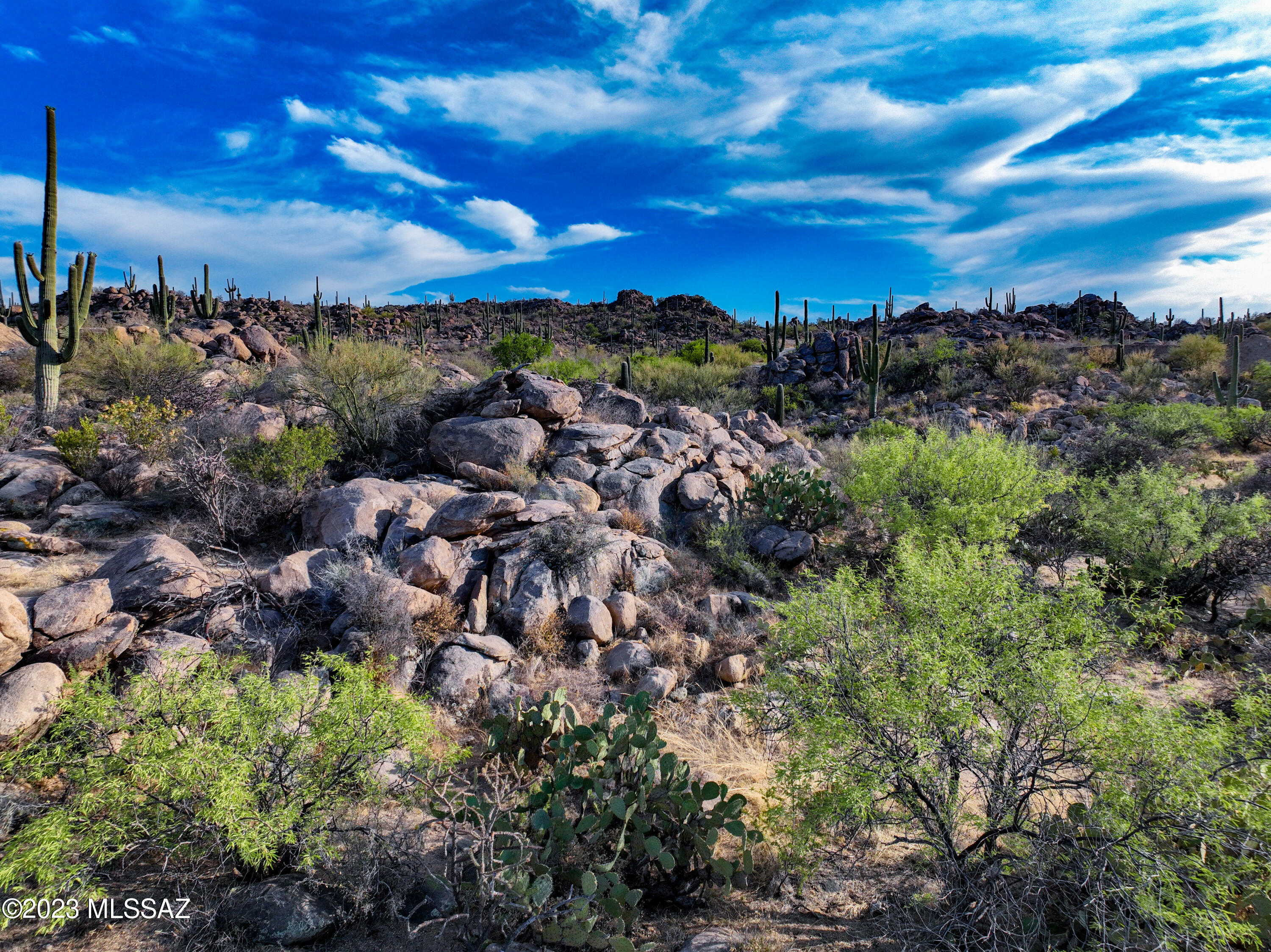 Stone Canyon VIII (486-602) - Land